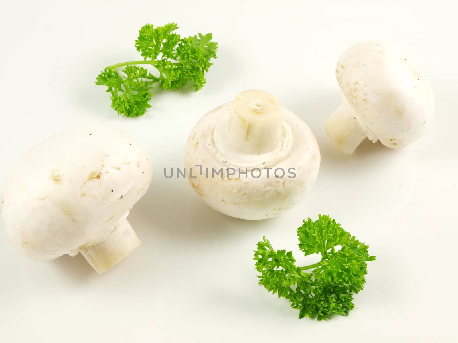 Champignon mushroom with parsley, isolated towards white background