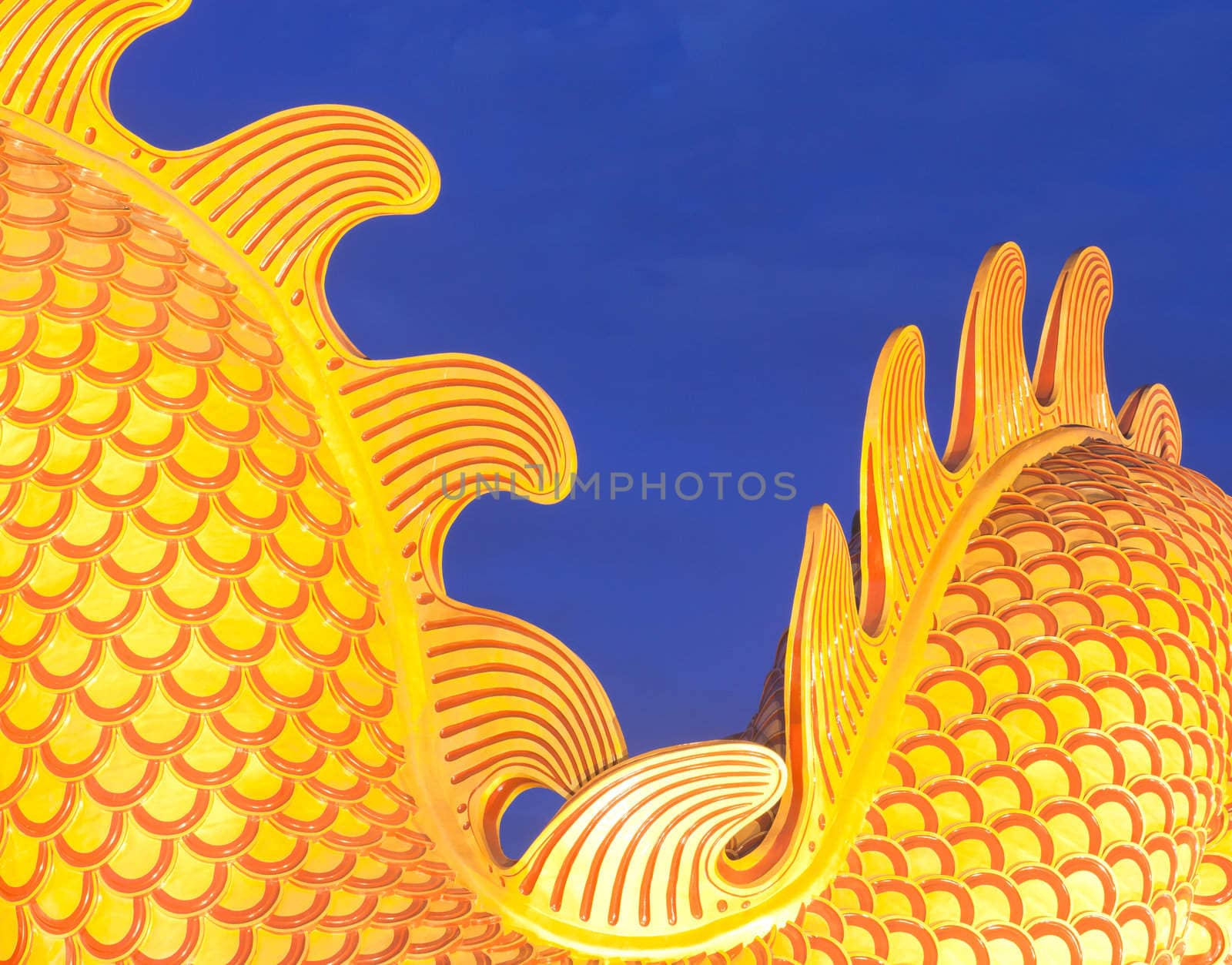 Chinese dragon by Suriyaphoto