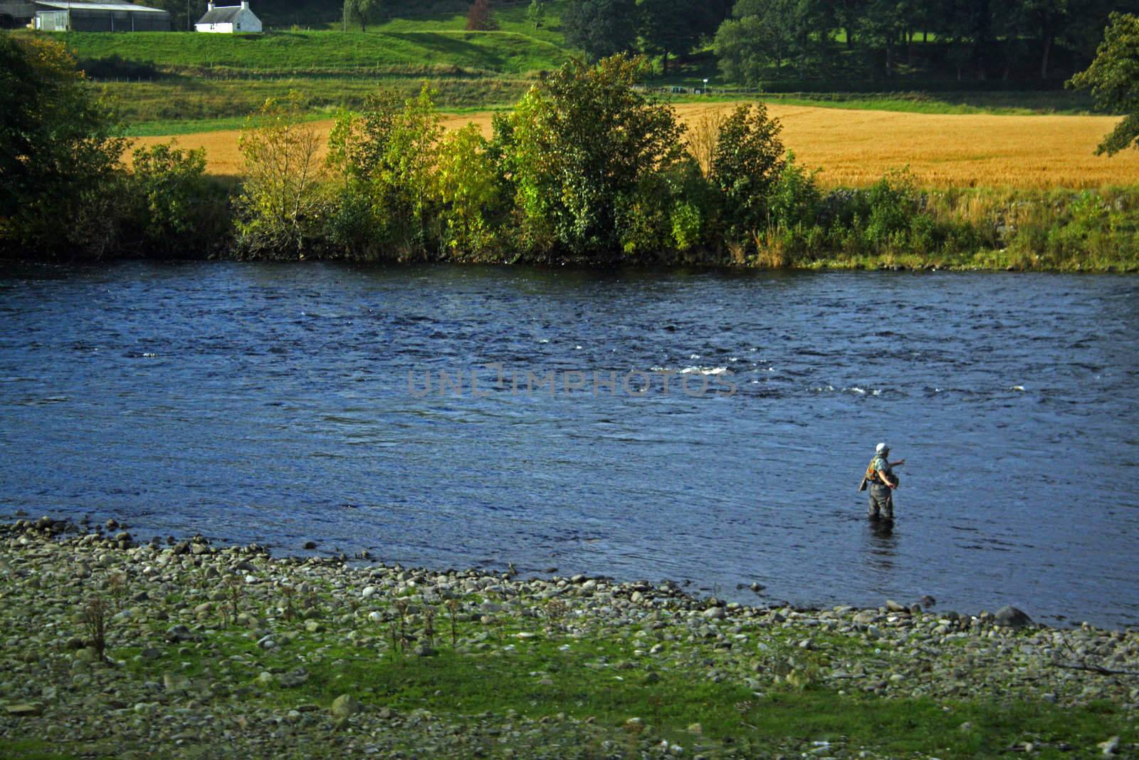 Fisherman angling waist deep in a stream in Scottland