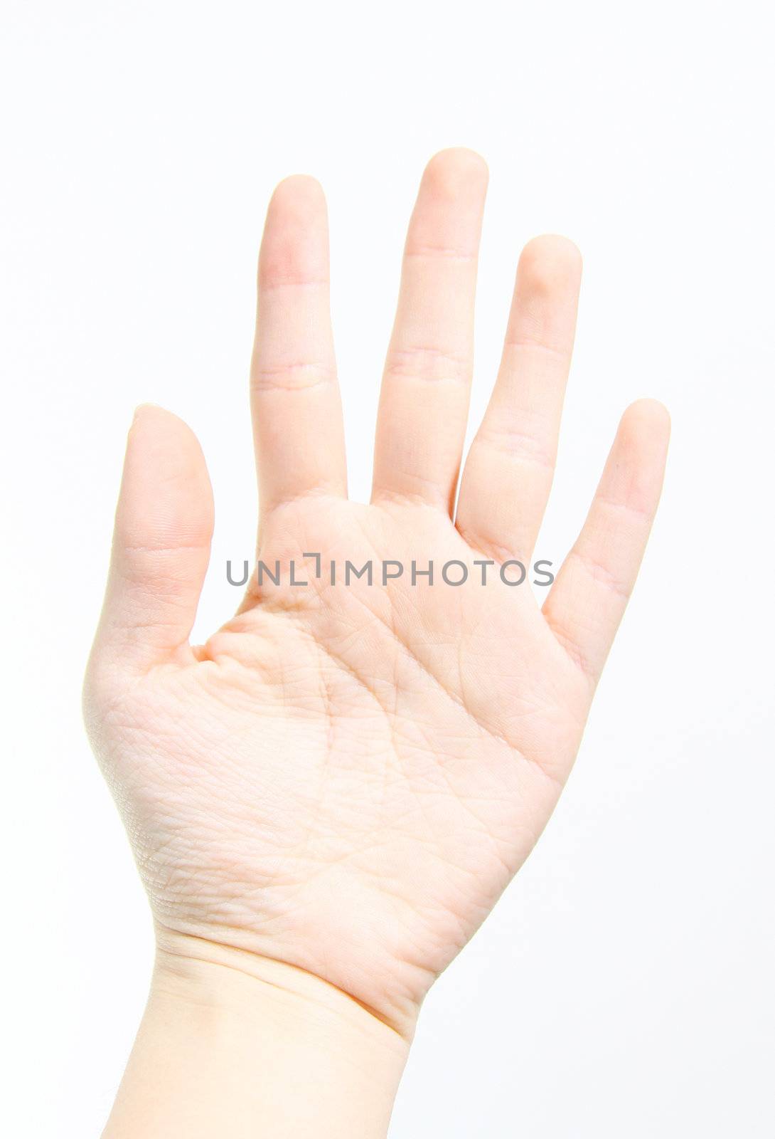 Human palm isolated on white background