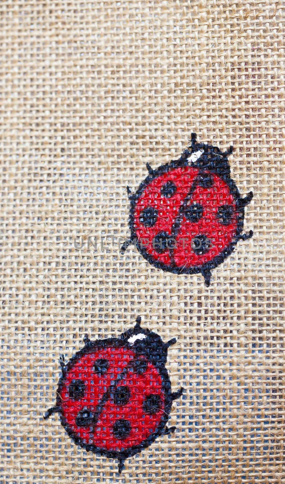 lady bug printed on cloths