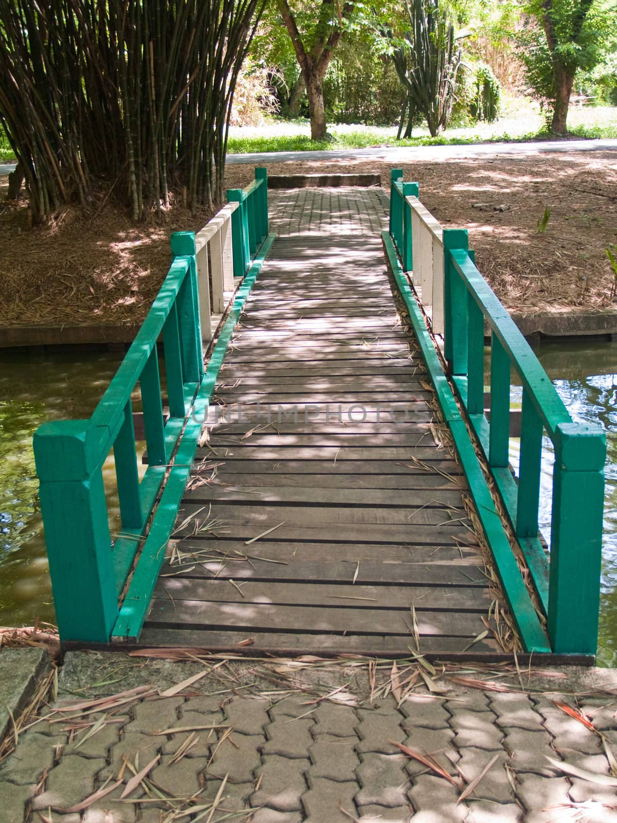 Green wooden bridge in garden