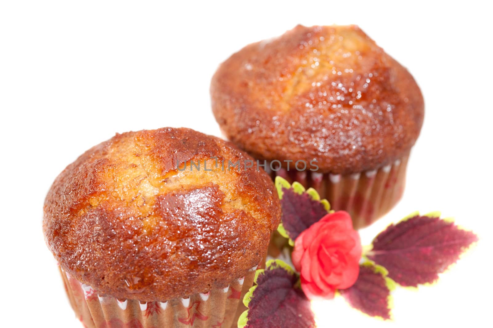 Banana Cake on white background by Suriyaphoto