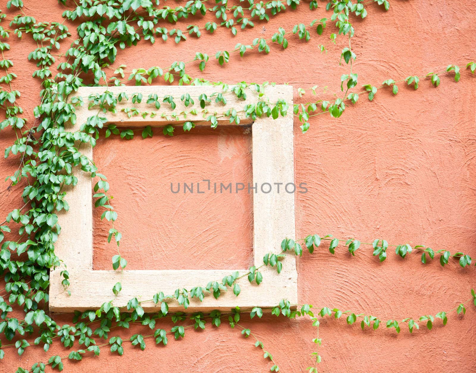 Climber on the wall by Suriyaphoto