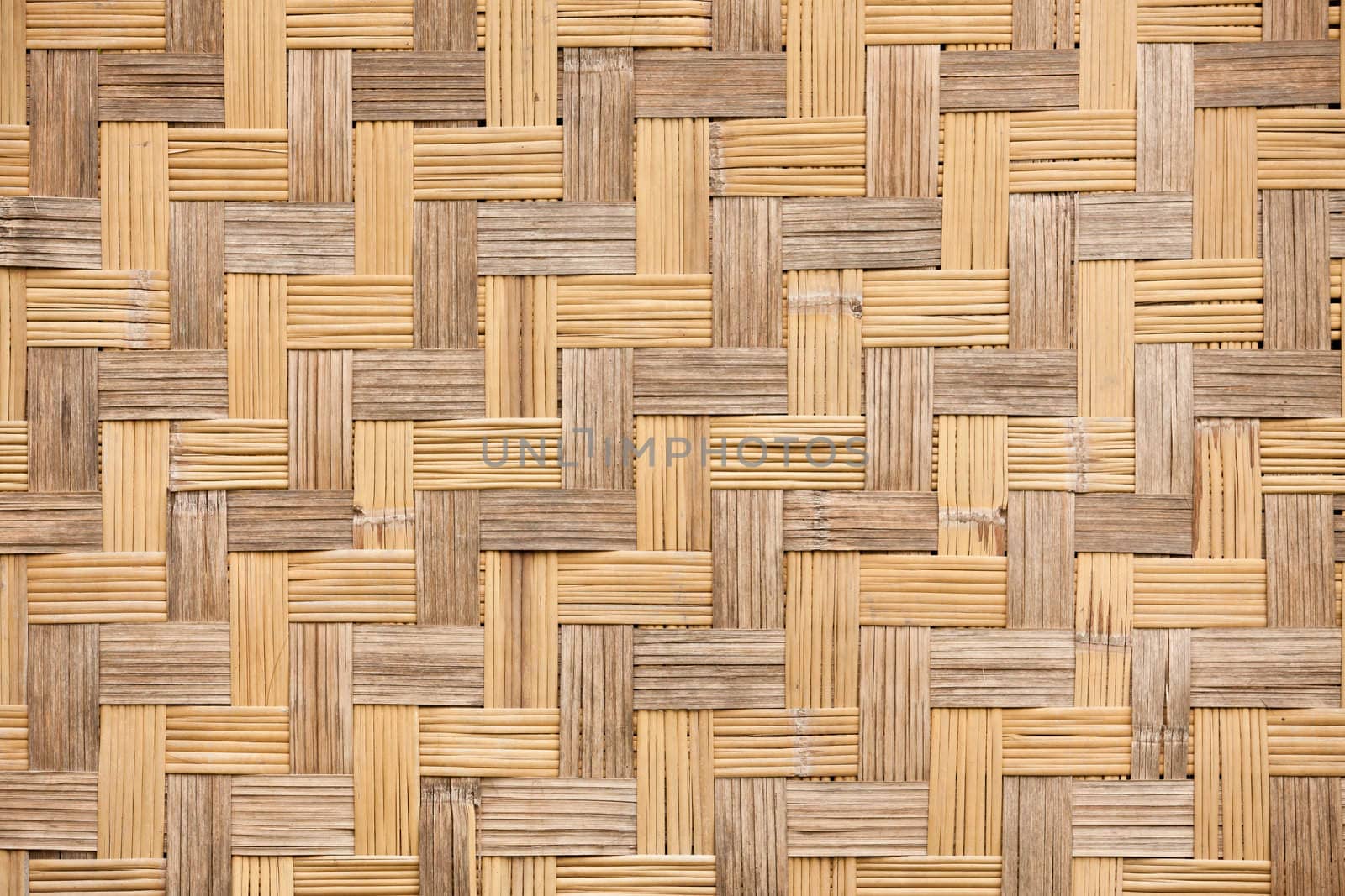 Wood Texture