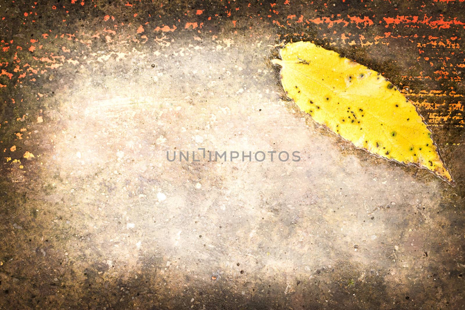 grung background and yellow leaf by Suriyaphoto