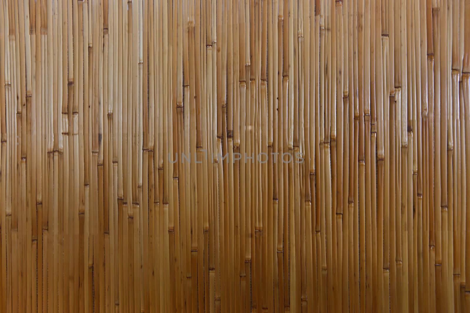 Bamboo Texture, Background by Suriyaphoto