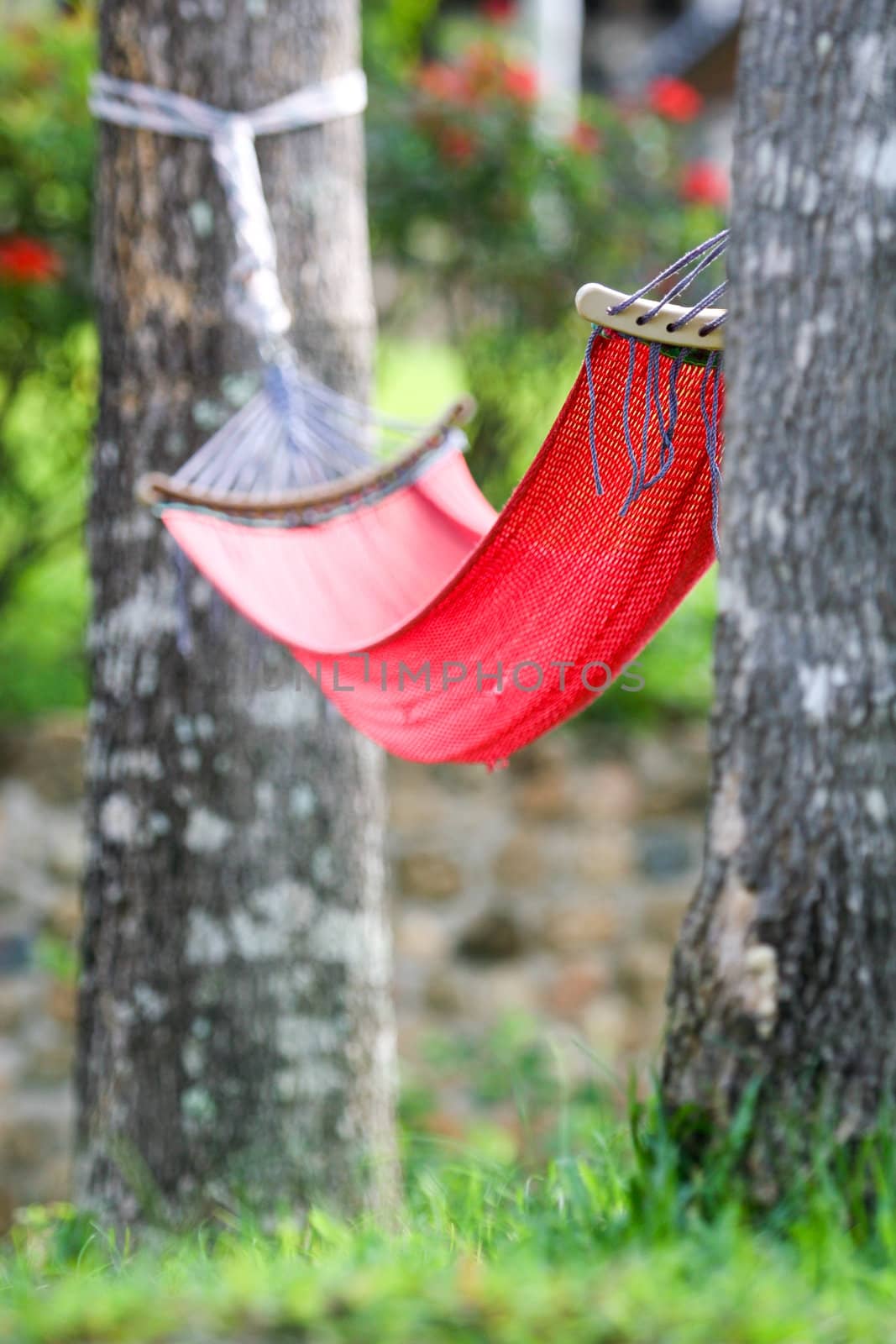 The red Hammock by Suriyaphoto