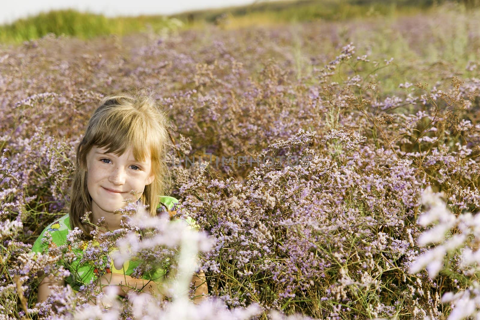 The girl on a lilac background 