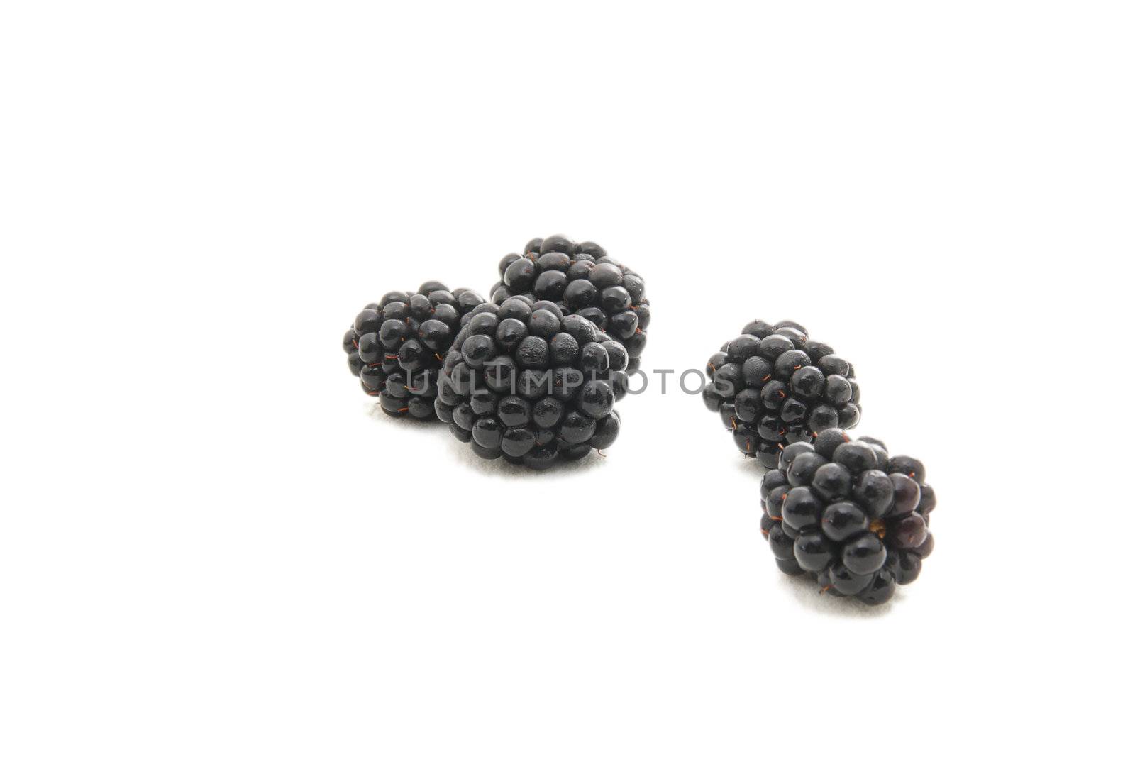 Group of plump, juicy blackberries ready to eat, isolated on white