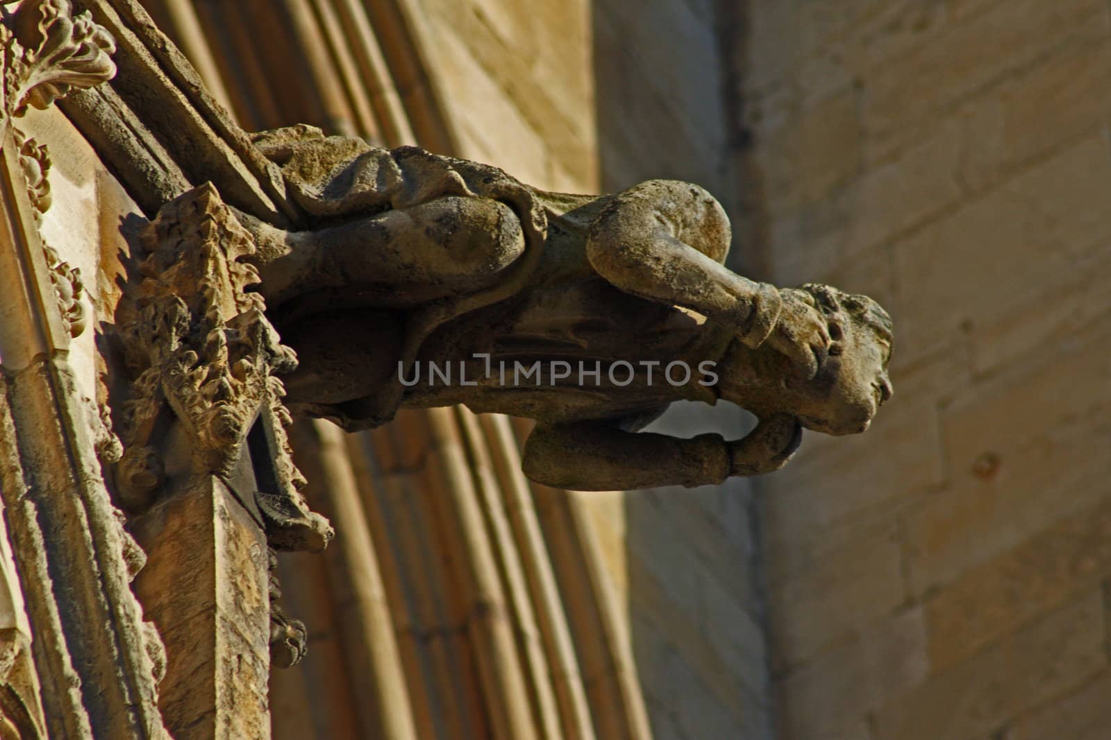 Gargoyle found on the side of Chester Cathedral