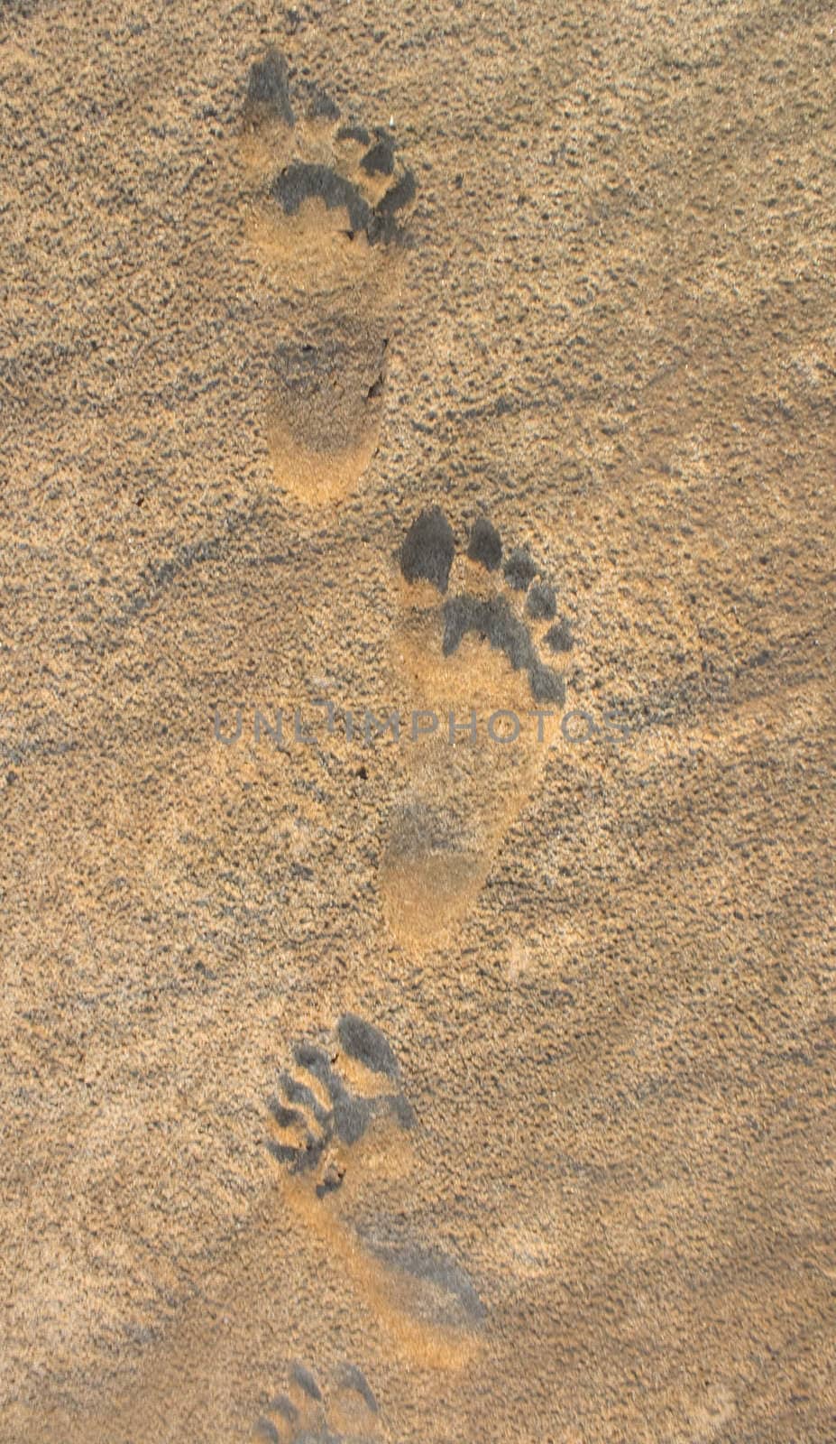 Foot prints in the sand