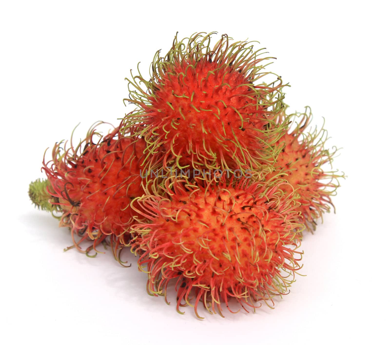 Rambutan by liewluck