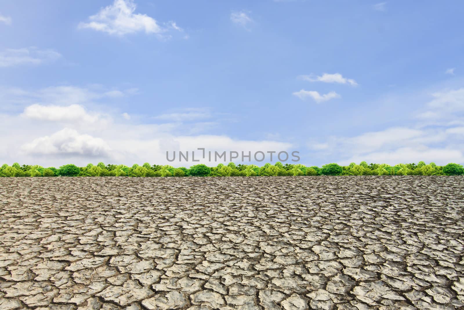 Large field of baked earth after a long drought  by rufous