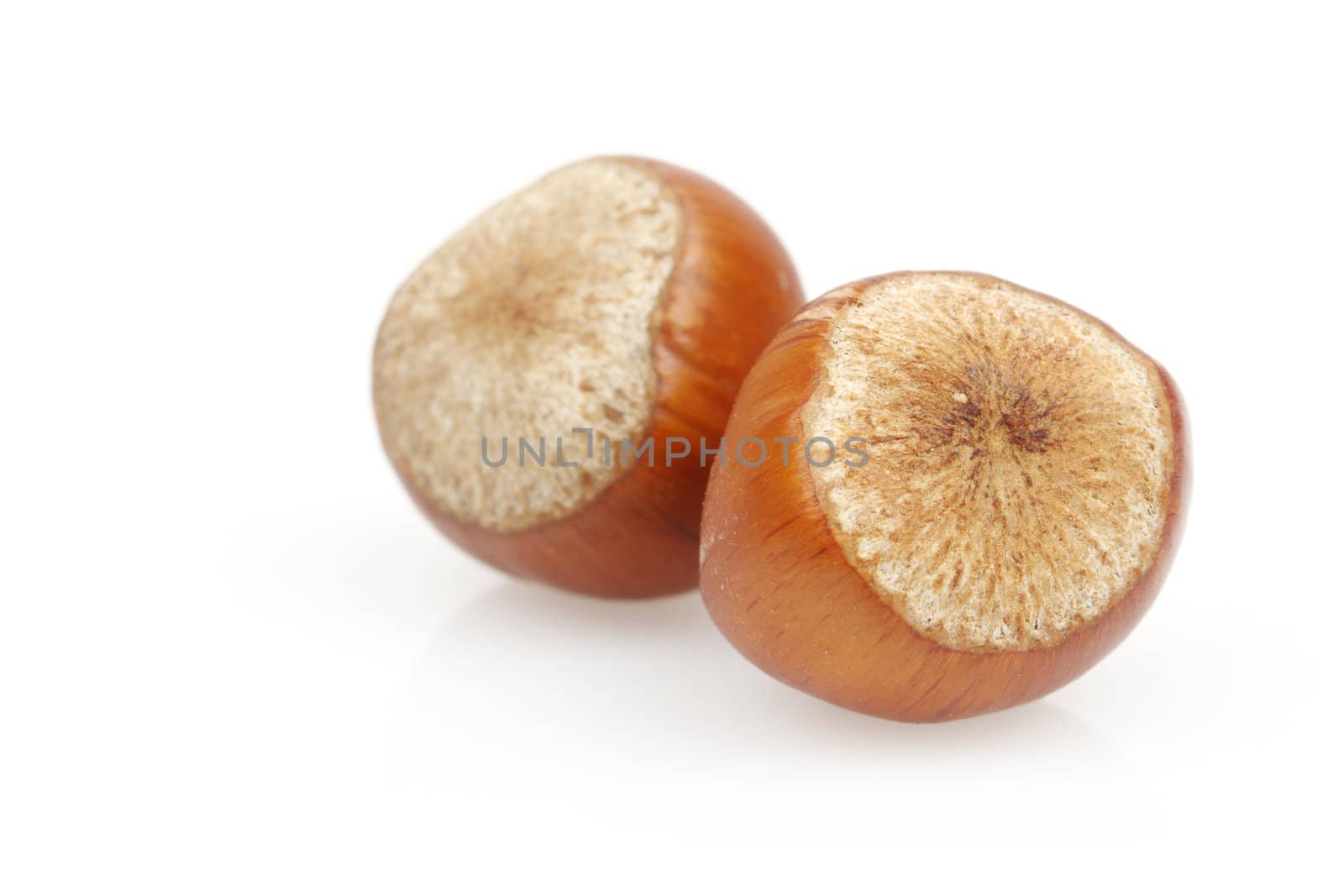 Close up of hazelnuts over white, shallow dof