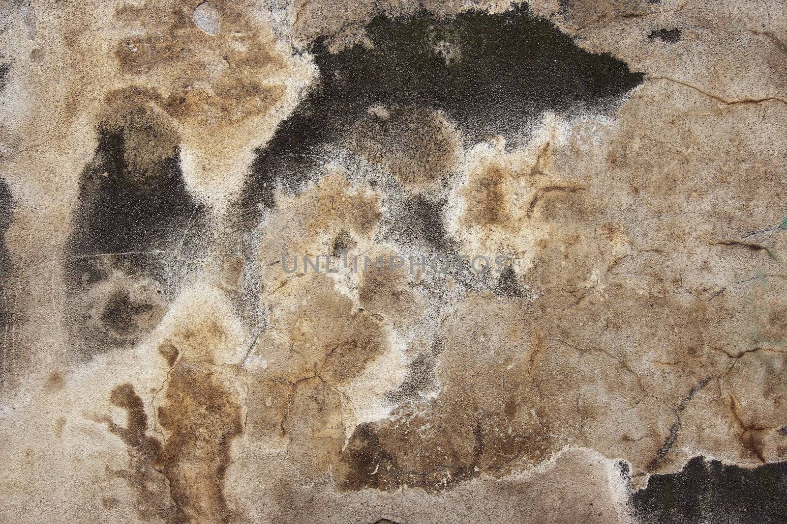 texture of the old and damaged stucco - plaster