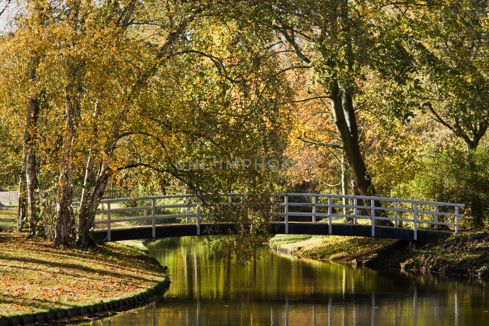 Pond and white bridge in park in fall by Colette