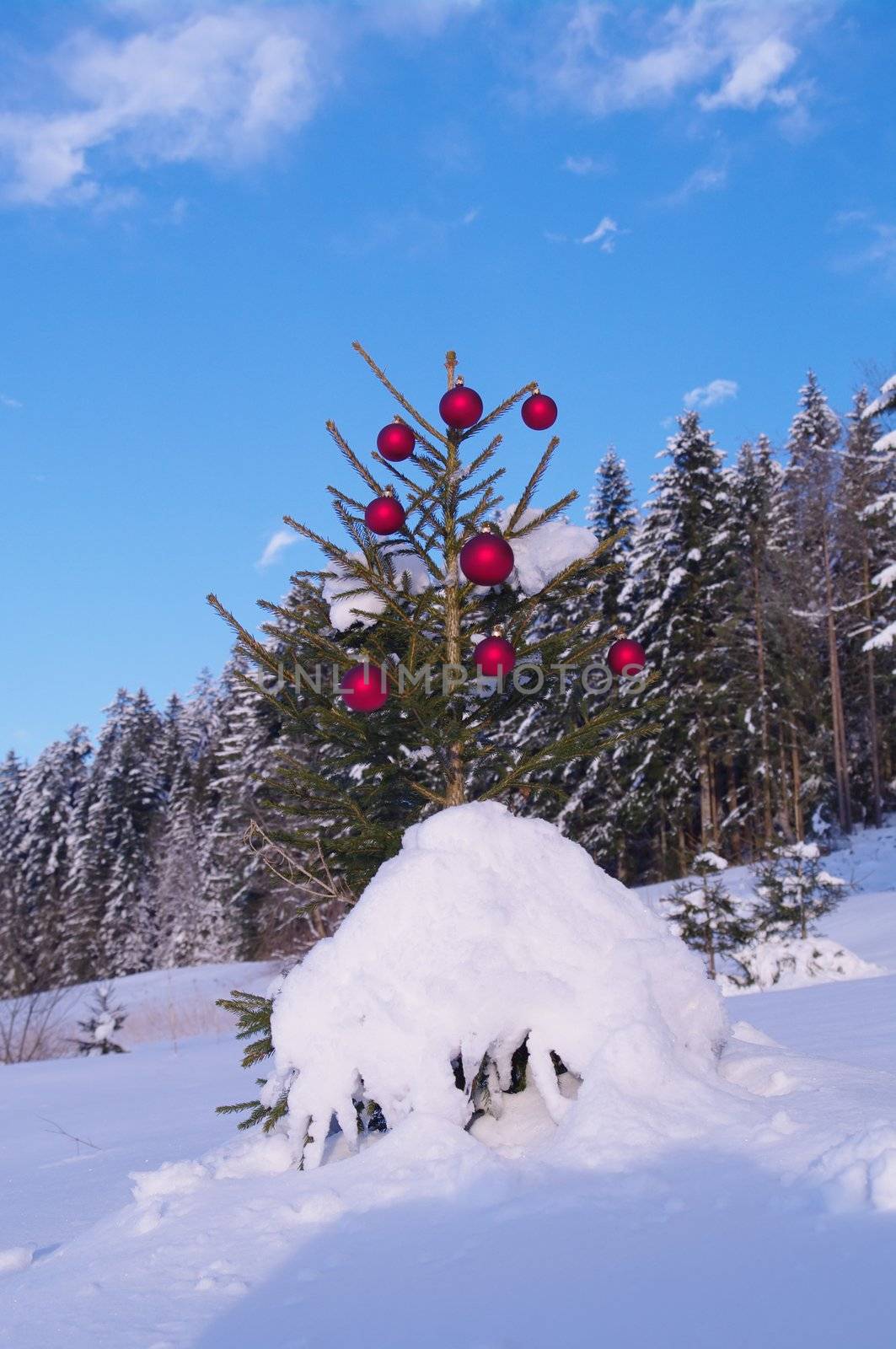 baubles  on a Christmas tree outside in a snowy landscape