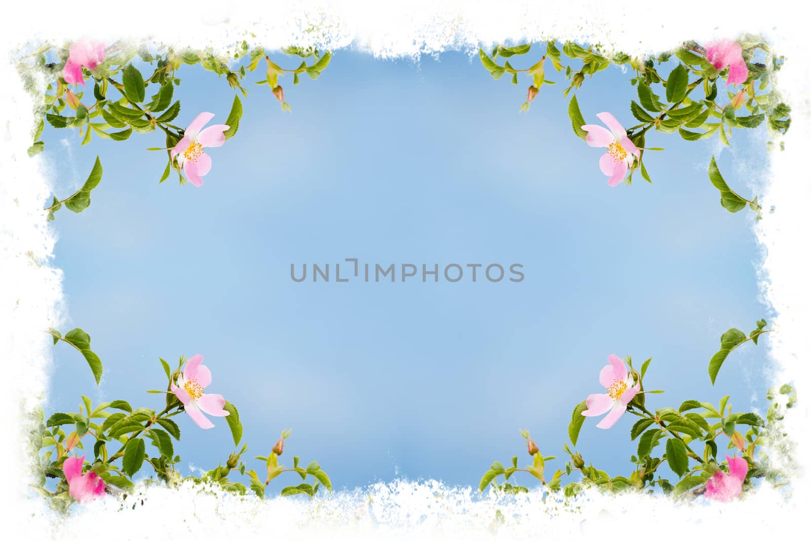 Beautiful flower frame  by artush