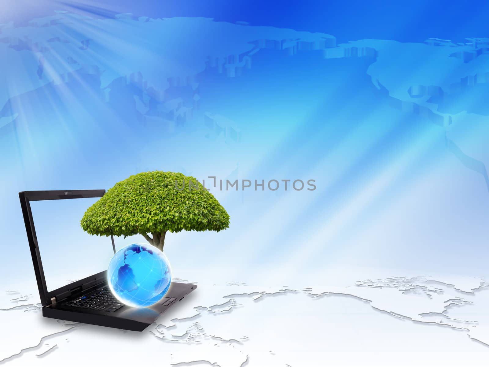 The tree on the laptop by rufous