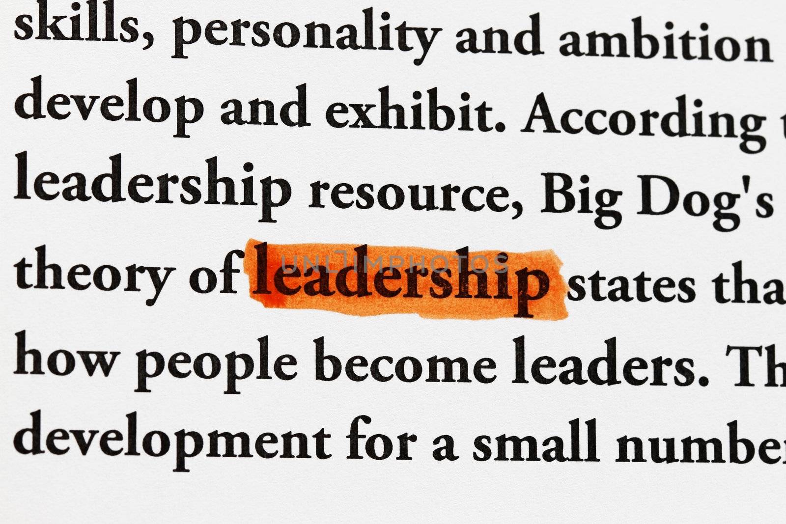 Leadership by sacatani