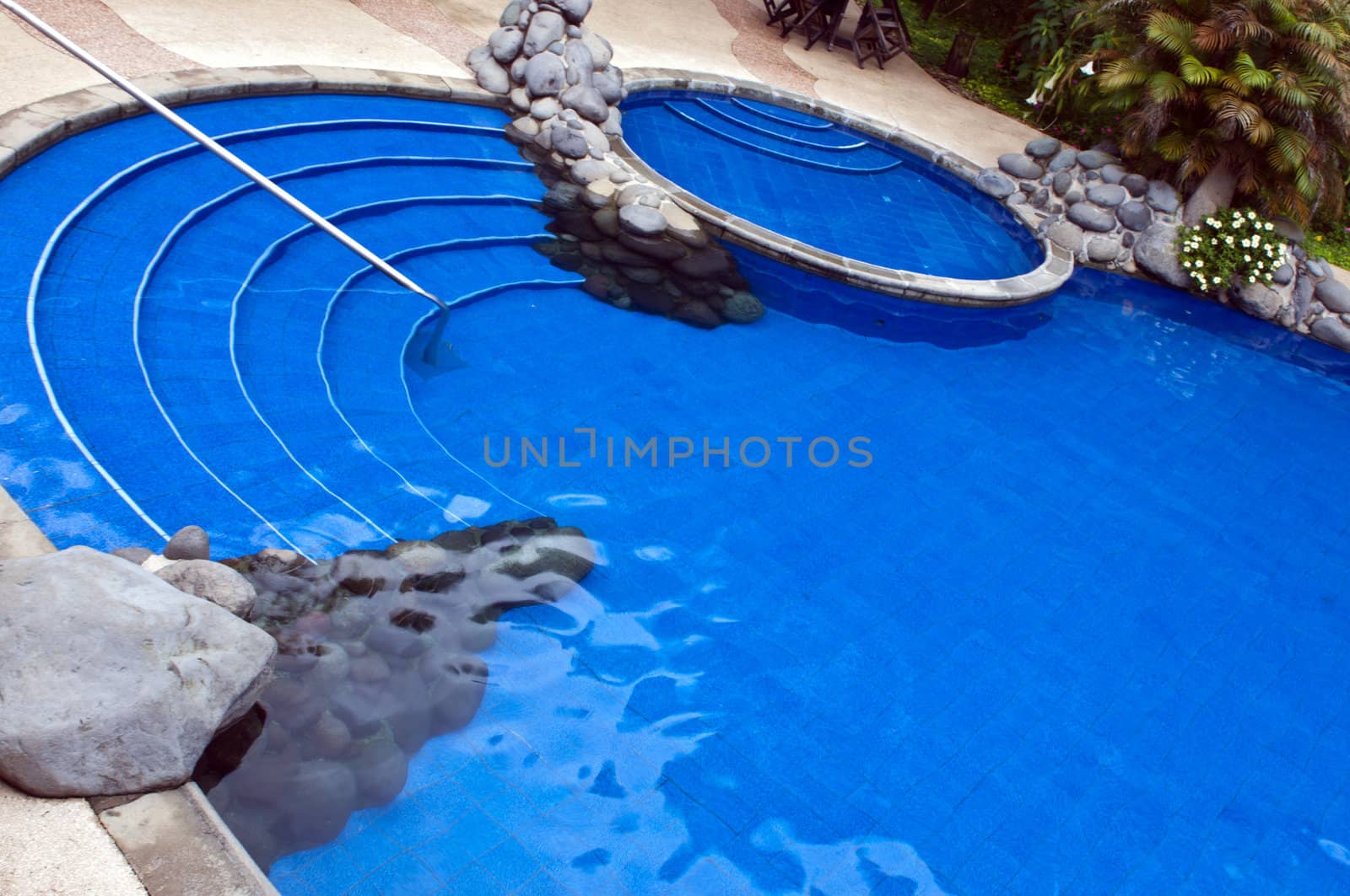 Detail of a pool in a tropical garden