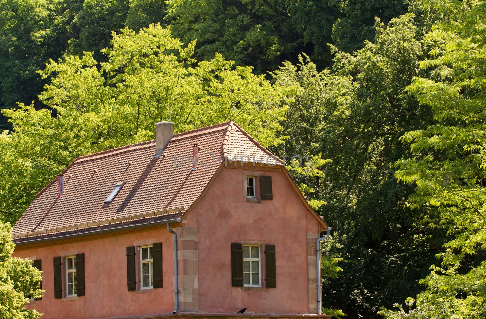An old house near the Black Forest in Germany
