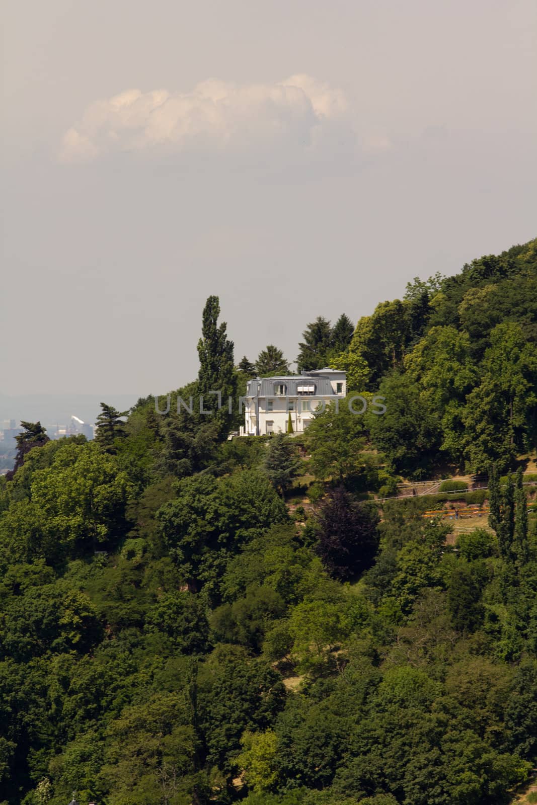 The Heidelberger Mountain above Heidelberg in Southern Germany