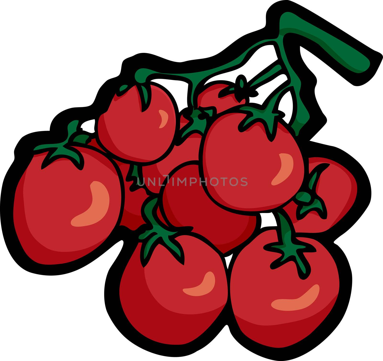 Stem full of ripe red cherry tomatoes