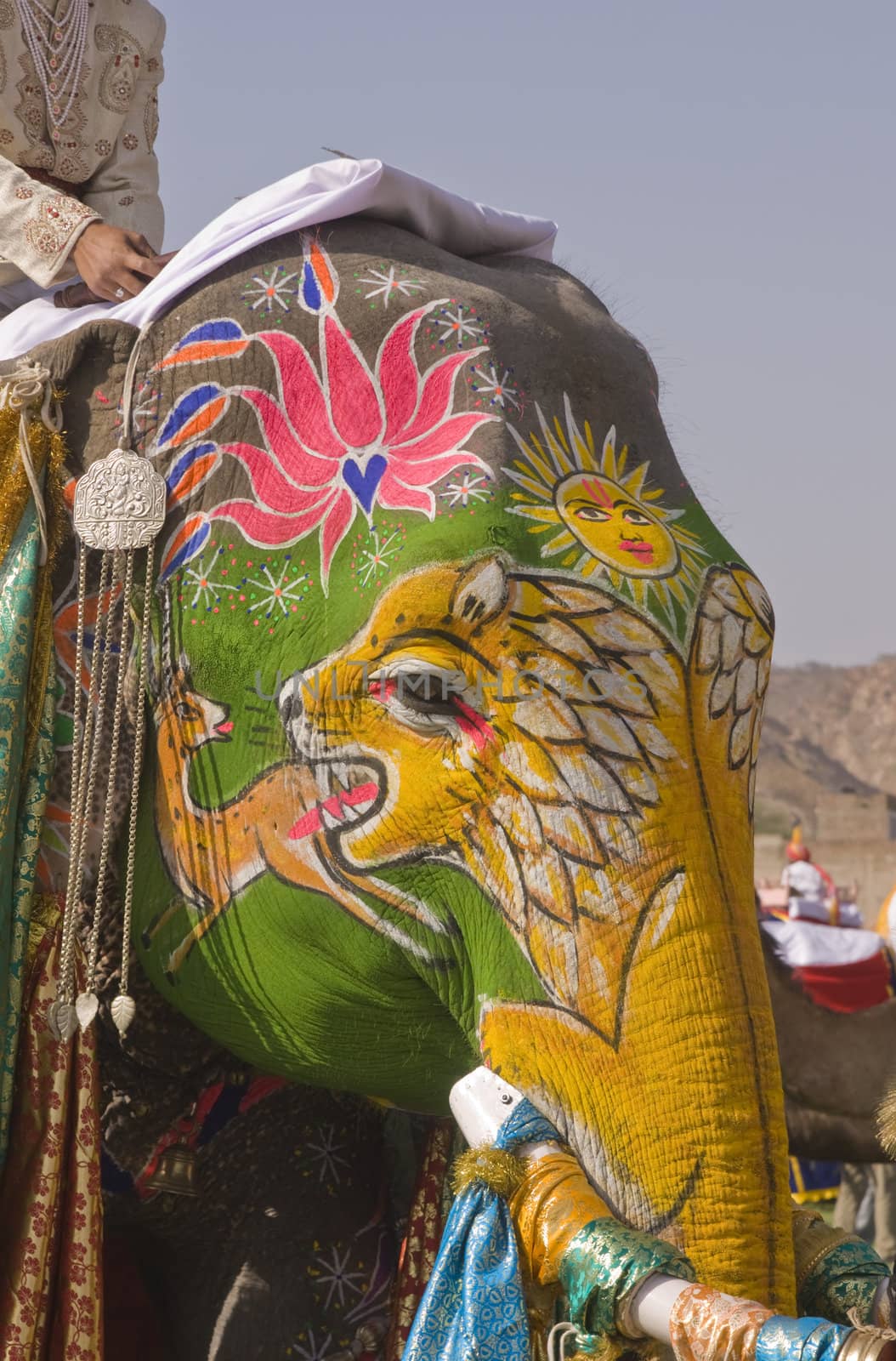 Decorated elephant at the annual elephant festival in Jaipur, Rajasthan, India