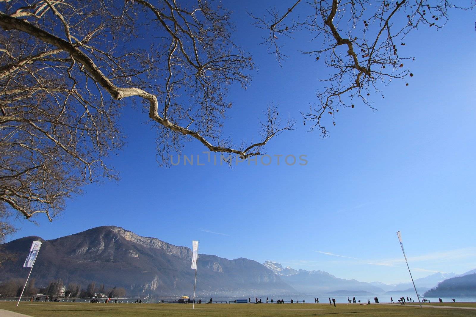 lake annecy and trees