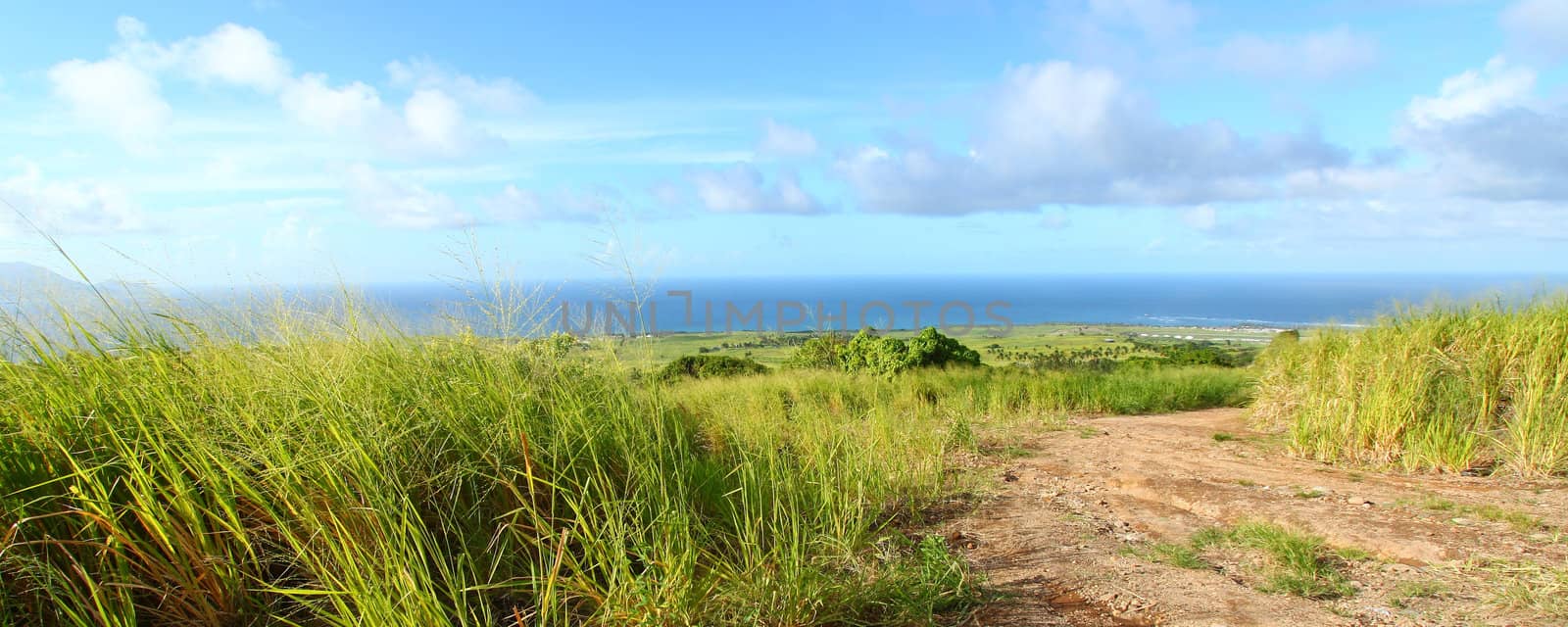 Saint Kitts Landscape by Wirepec