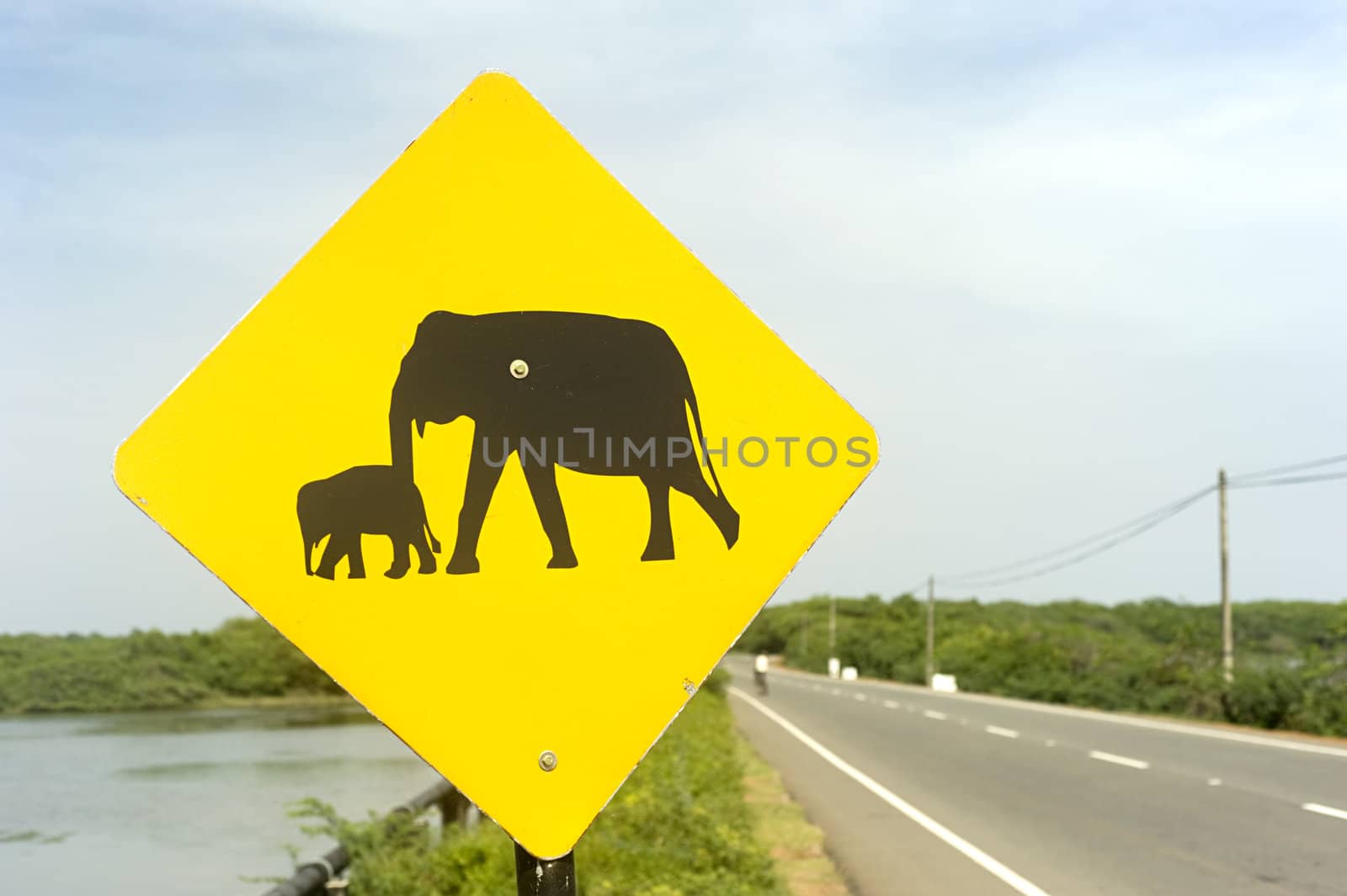 Elephant Sign by joyfull