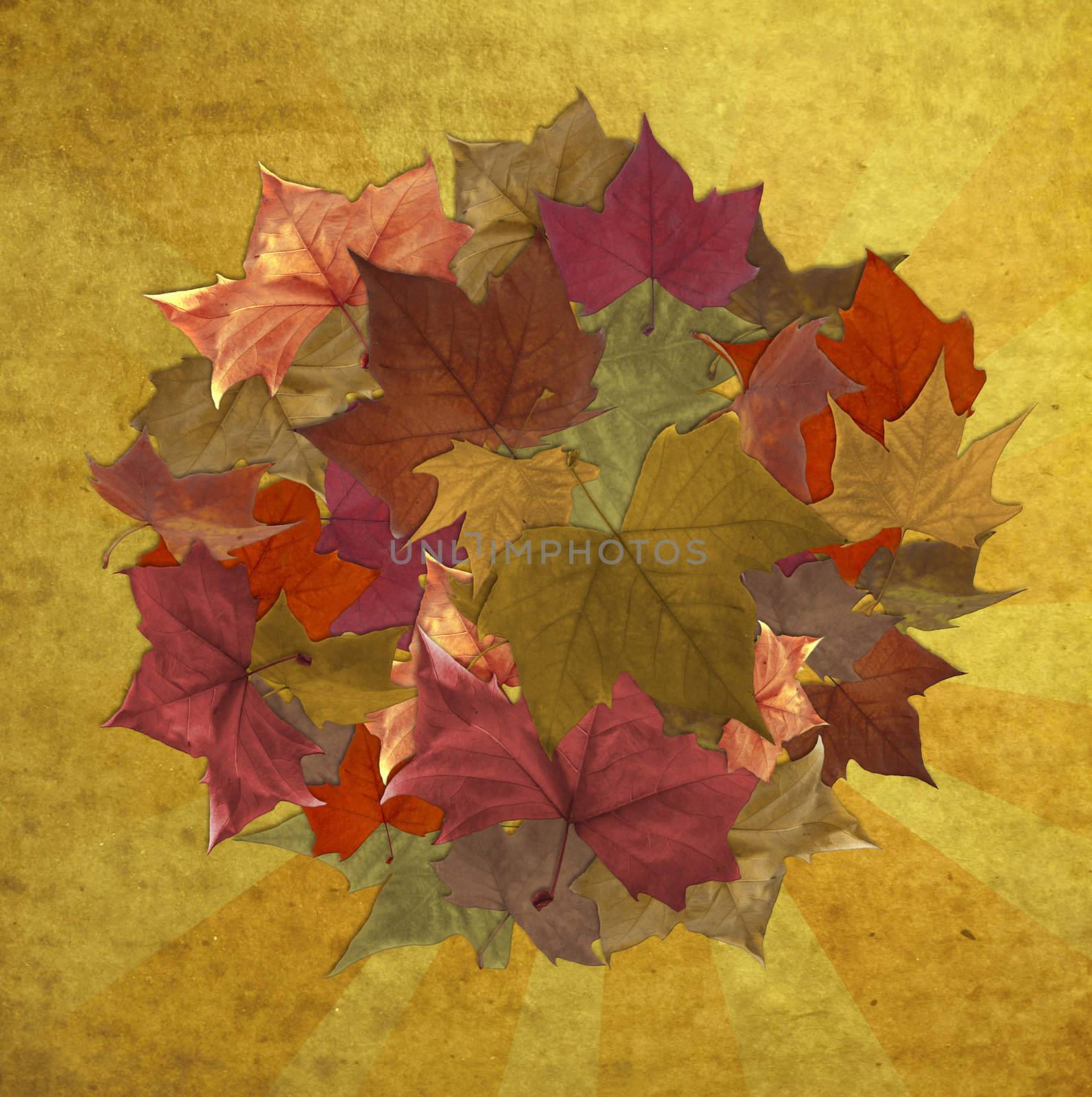 Autumn leaves circle striped vintage background by cienpies