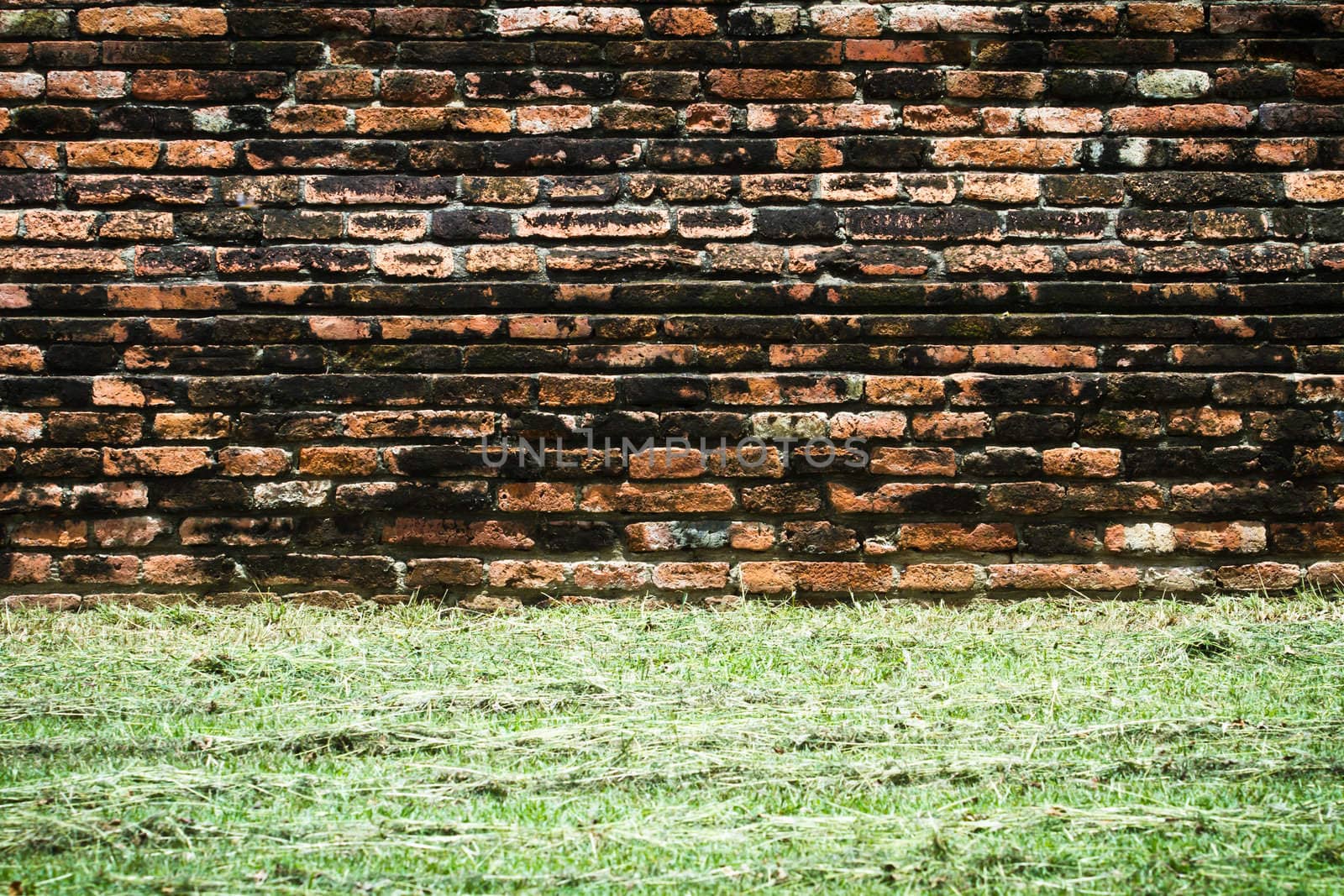 Vintage brick wall by Suriyaphoto