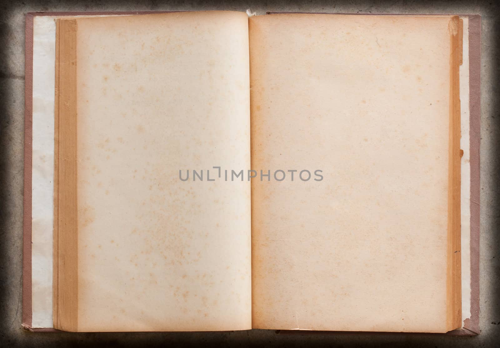 Isolated old antique vintage book  by Suriyaphoto