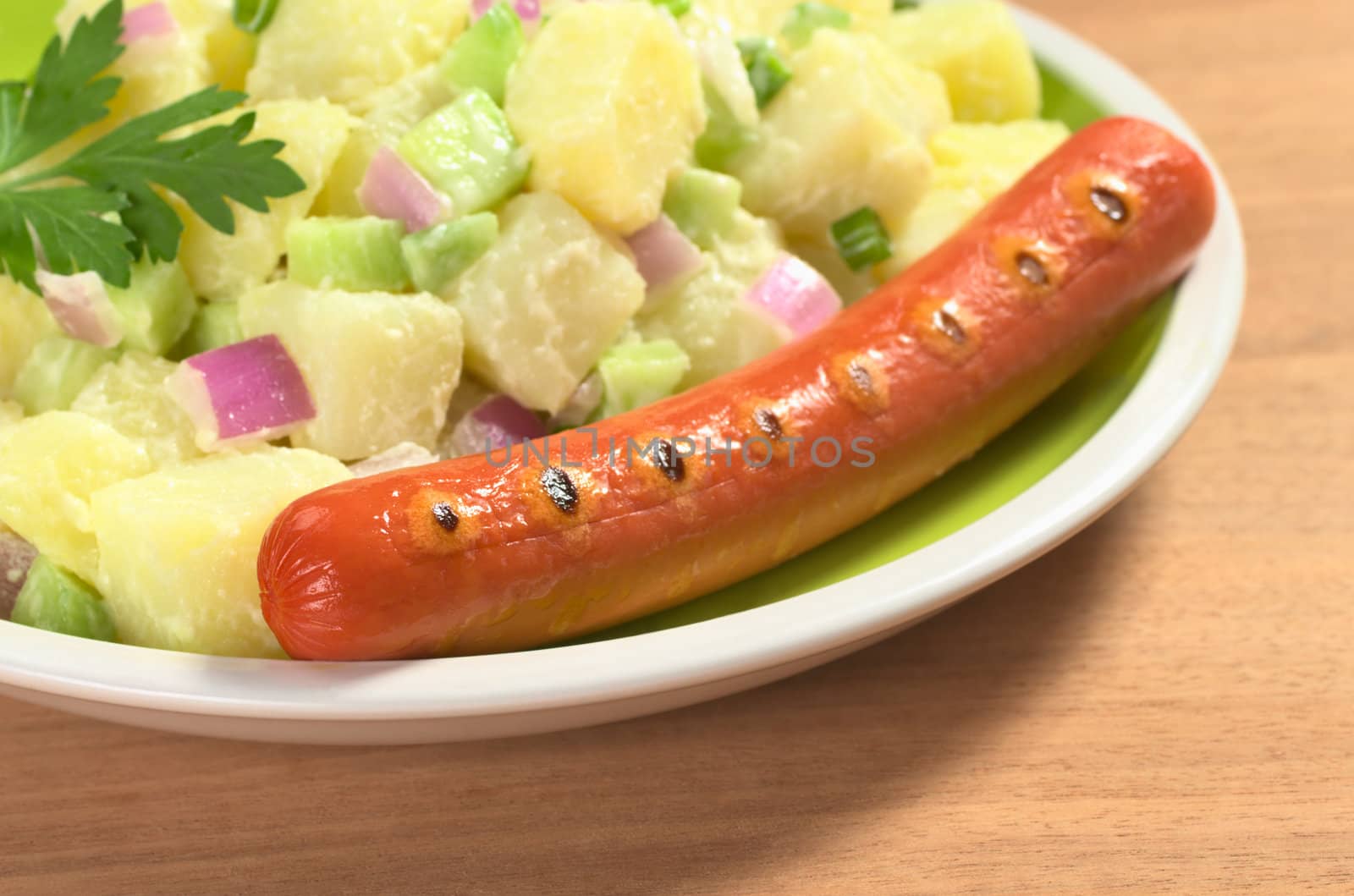 Sausage and Potato Salad by ildi