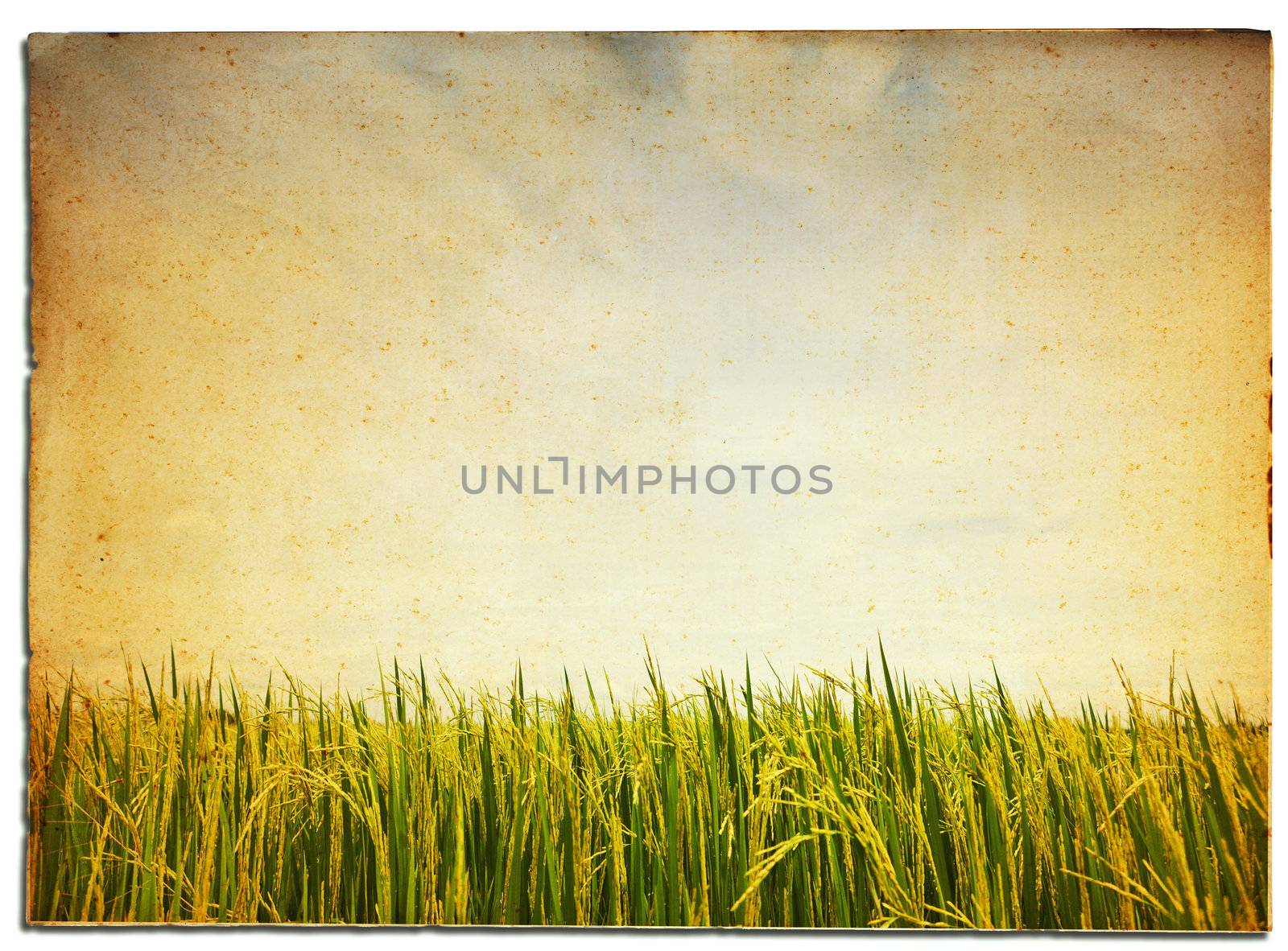 old antique vintage paper background