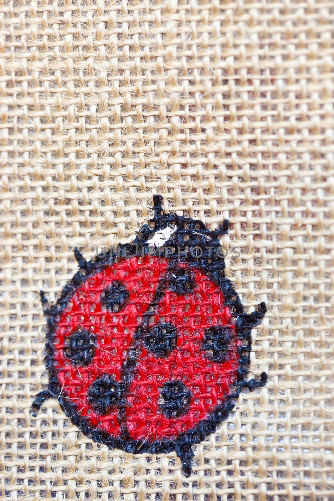 Lady bug printed on cloths by Suriyaphoto