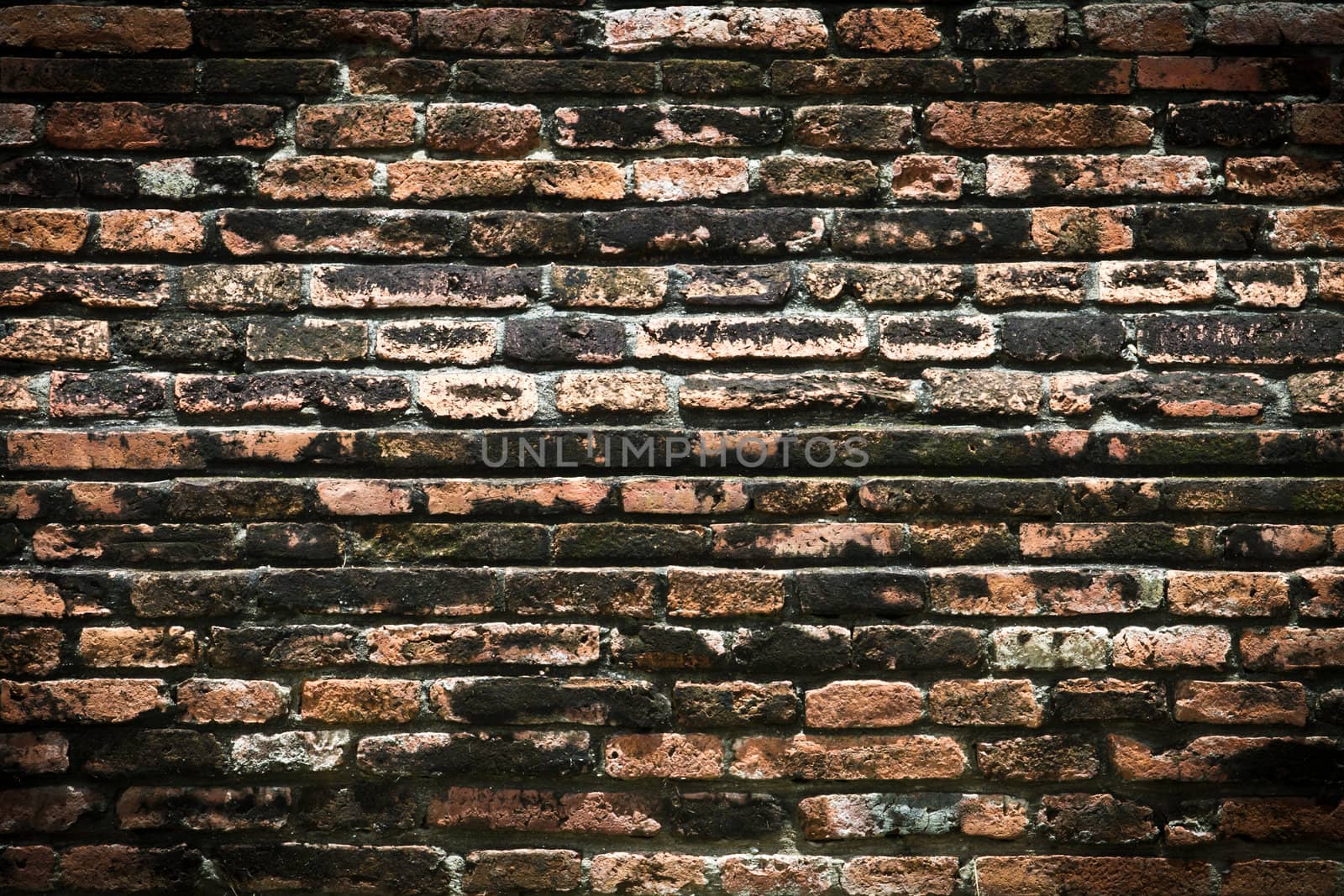 Vintage brick wall by Suriyaphoto