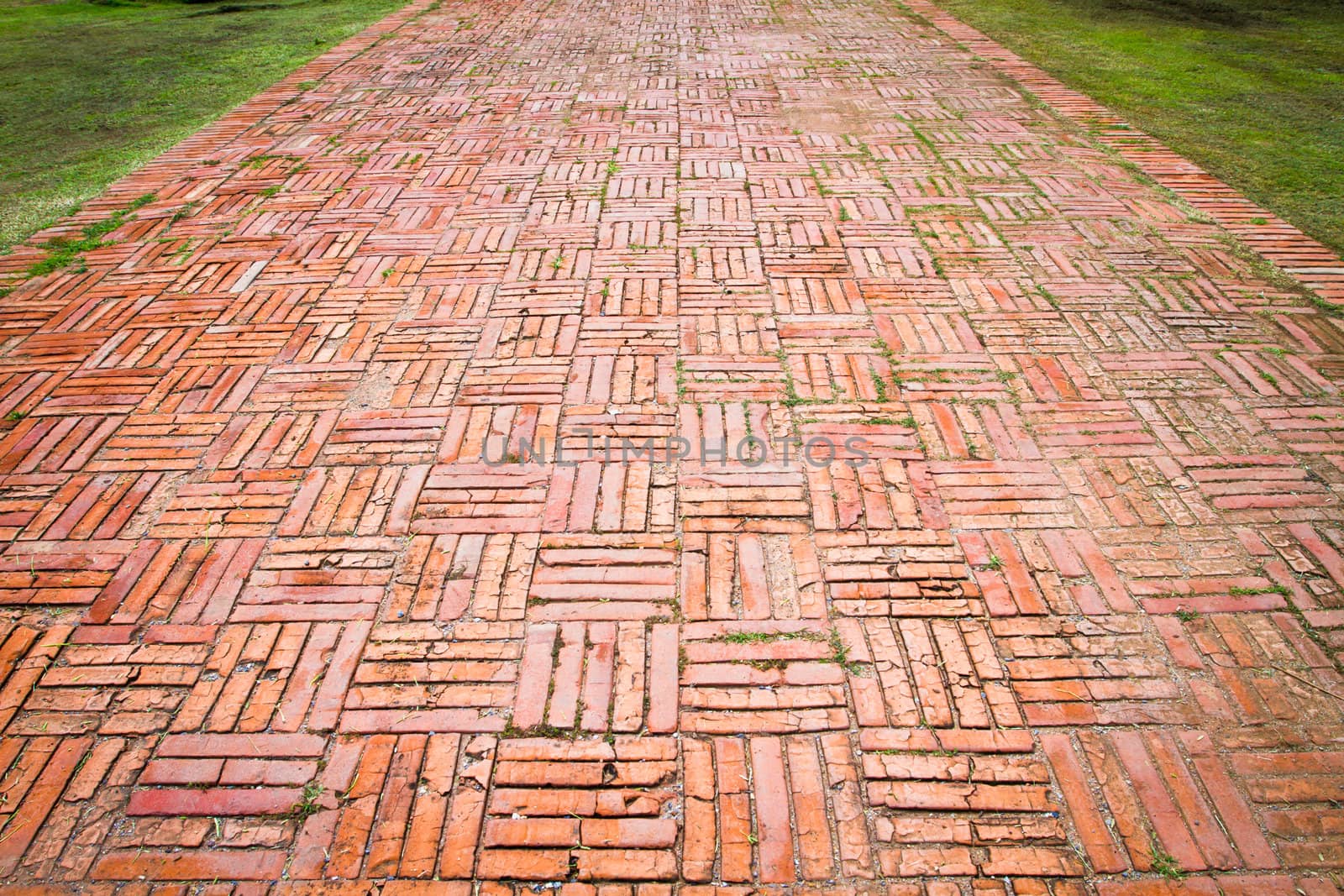 Vintage brick on the walk way