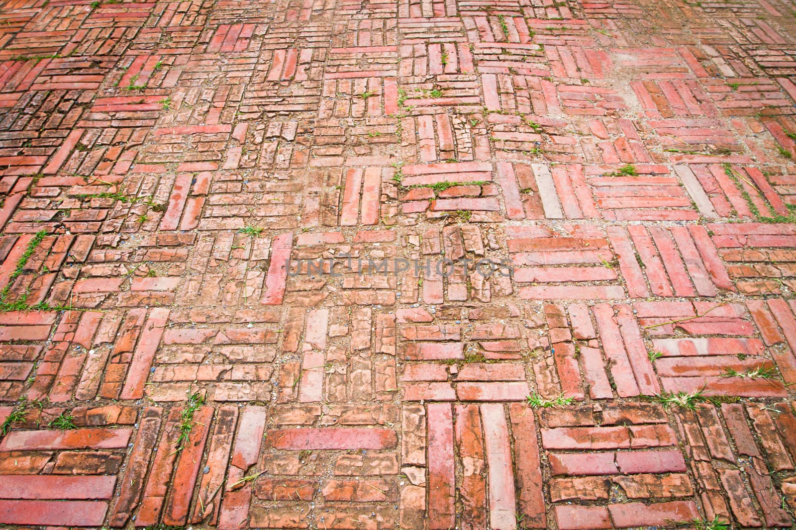 Vintage brick on the walk way by Suriyaphoto