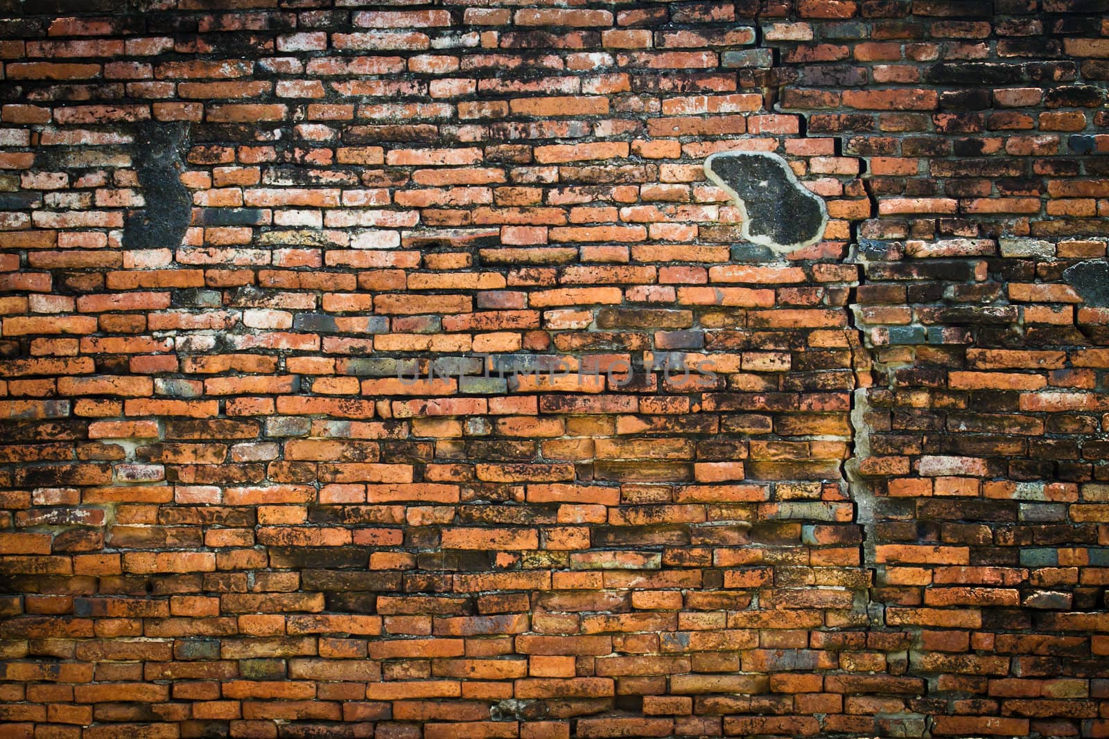 Vintage brick wall by Suriyaphoto