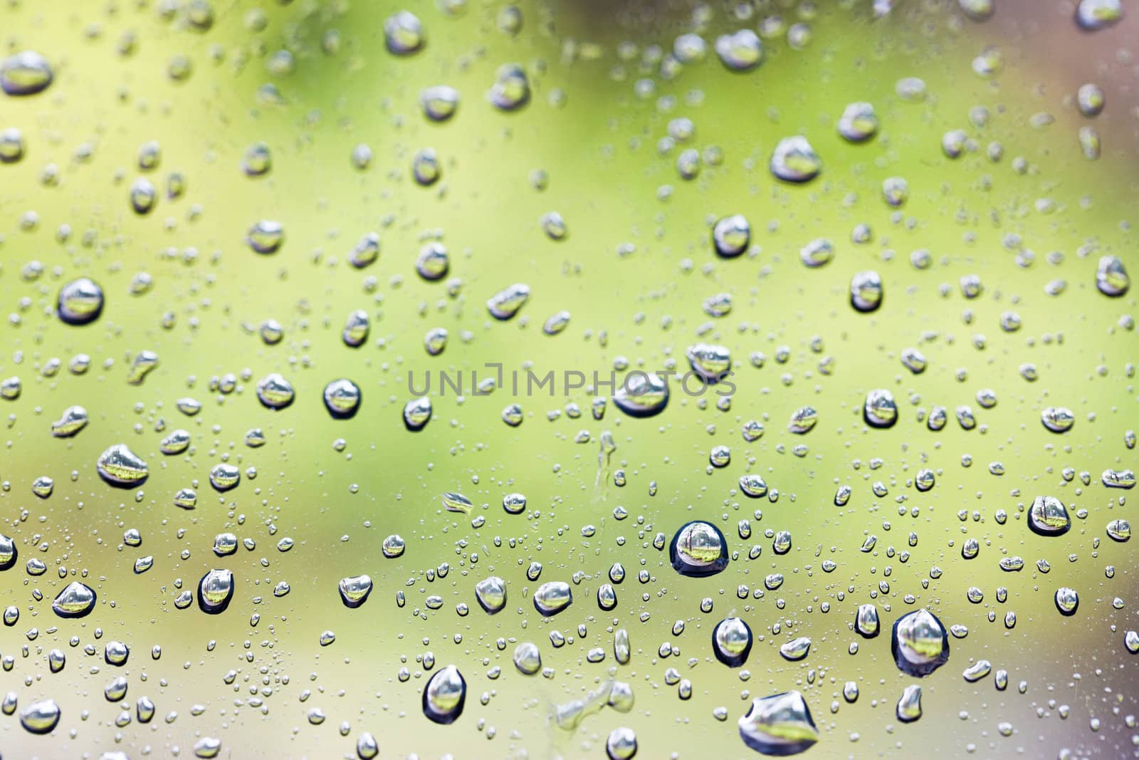 Raindrops by Suriyaphoto