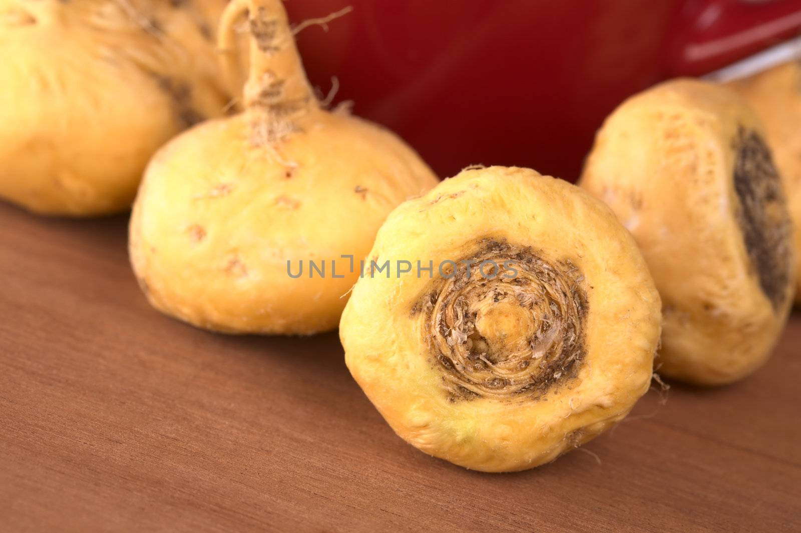 Peruvian Ginseng (Sp. Maca, lat. Lepidium meyenii) which is widely used in Peru for its various health effects and high nutritional value with a red tea cup in the back on wood (Selective Focus, Focus on the front root)