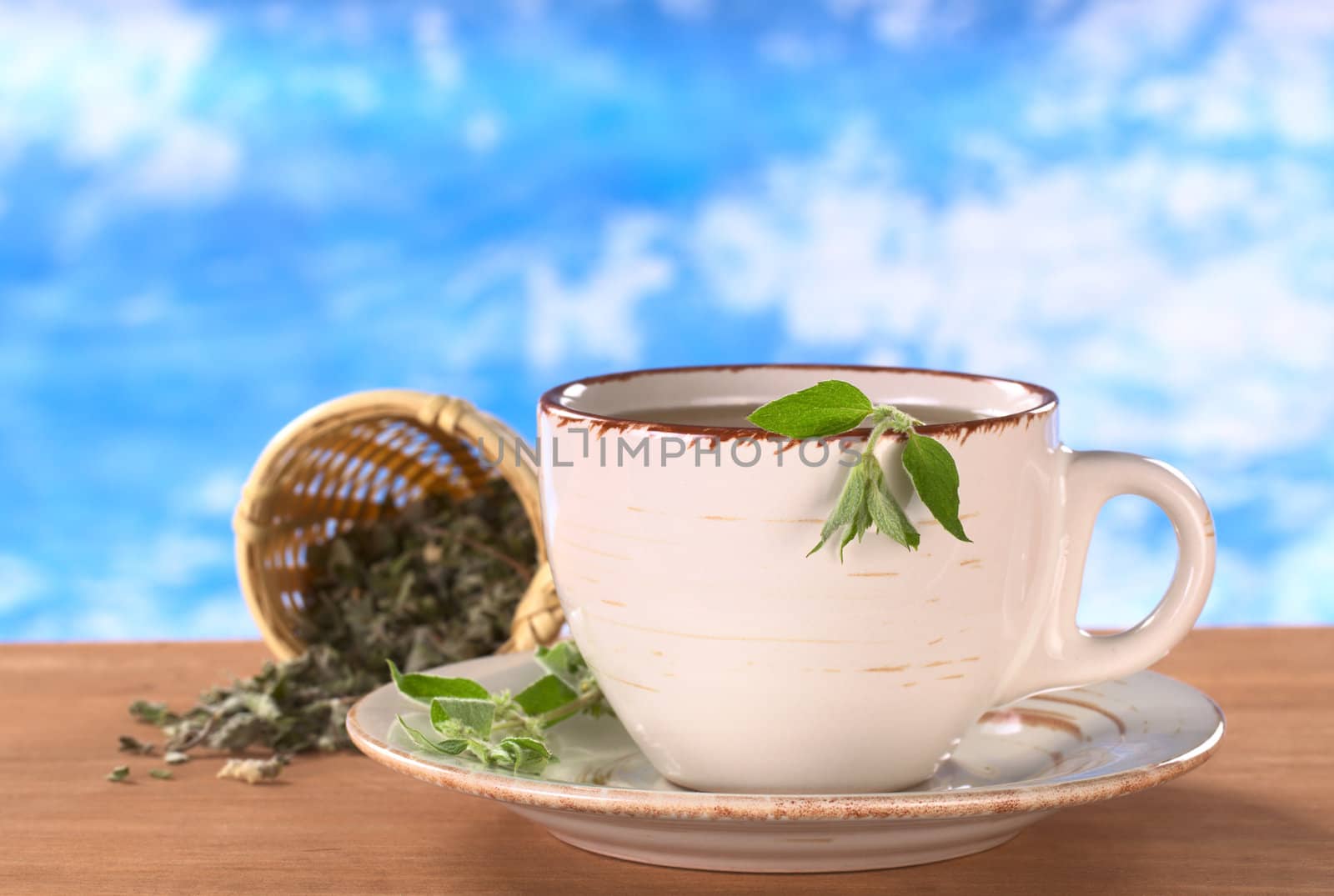 Herbal tea prepared from the Peruvian herb called Muna (lat. Minthostachys stetosa) which is used mainly for its positive digestive effects and has a mint-like taste (Selective Focus, Focus on the head of the fresh plant on the rim of the cup)