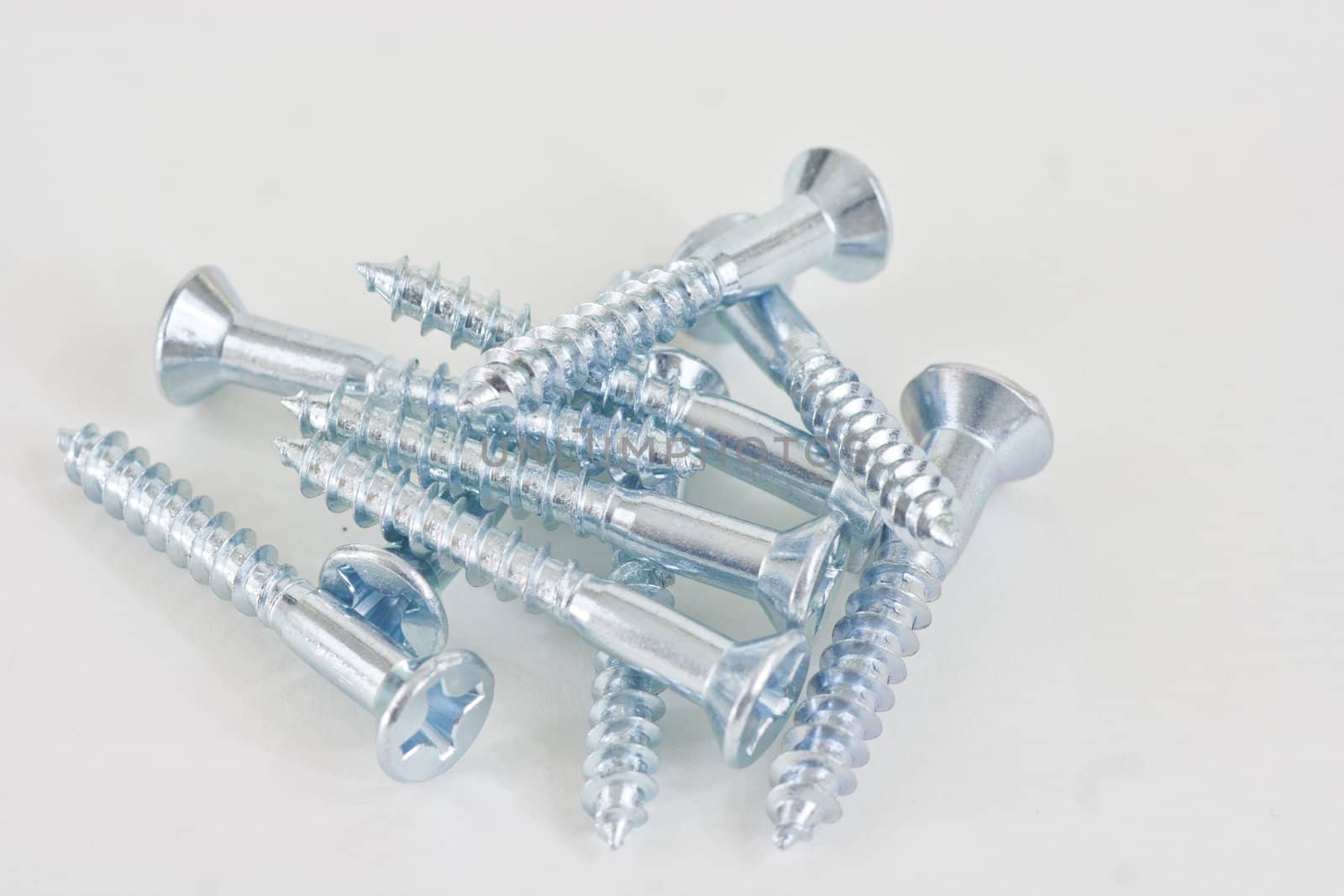 A pline of assorted screws on a white background.