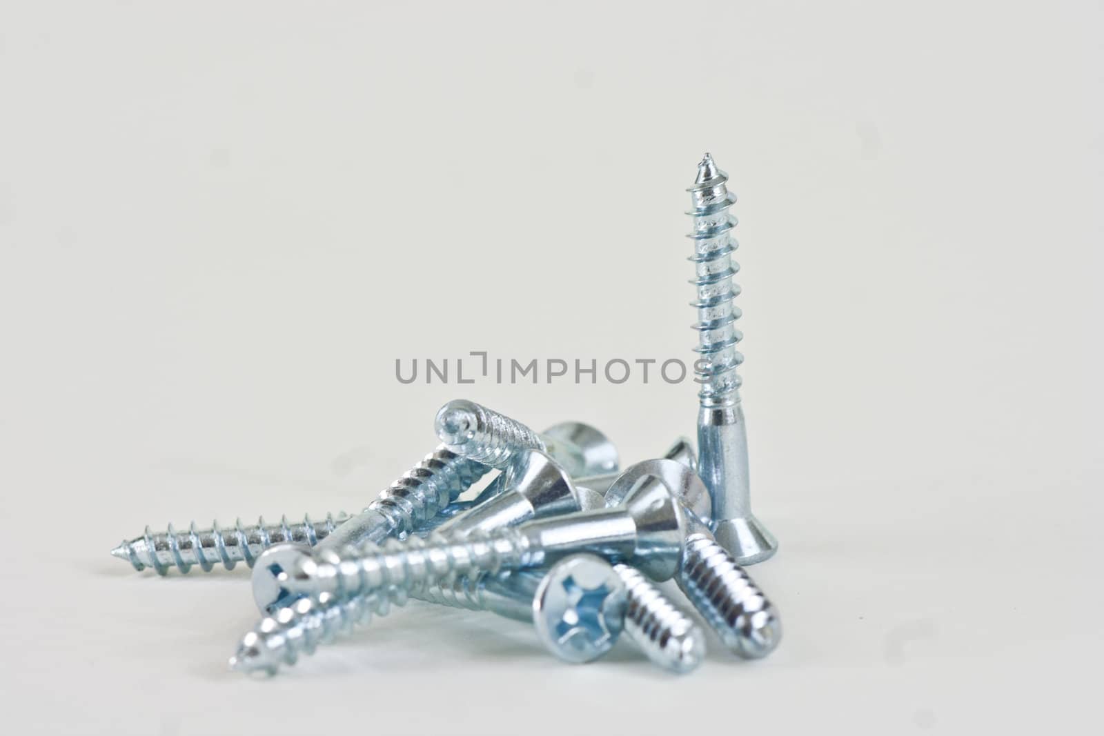 Apile of assorted screws with one screw standing on a white background.