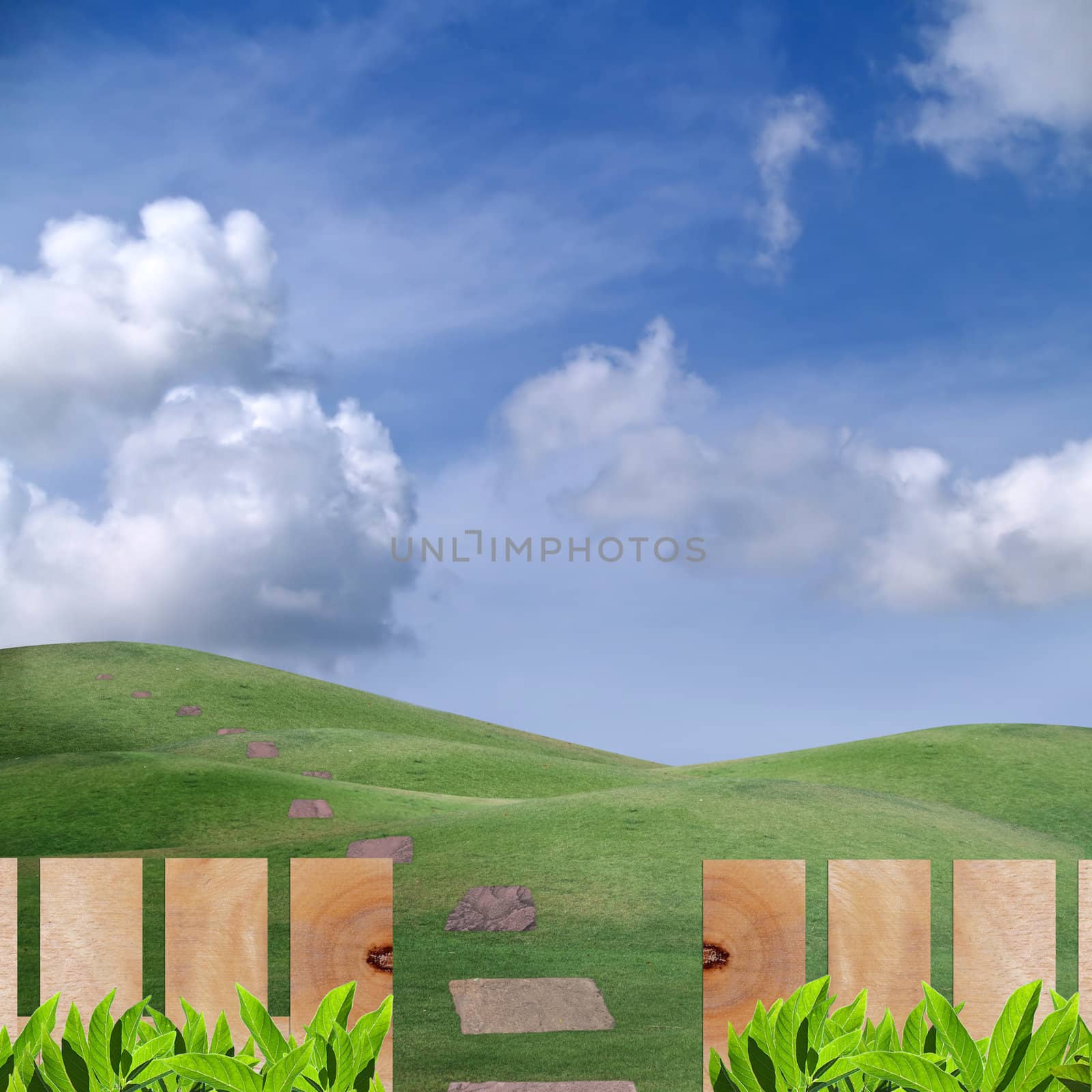 Beautiful field of green hill with wooden fence and stone path