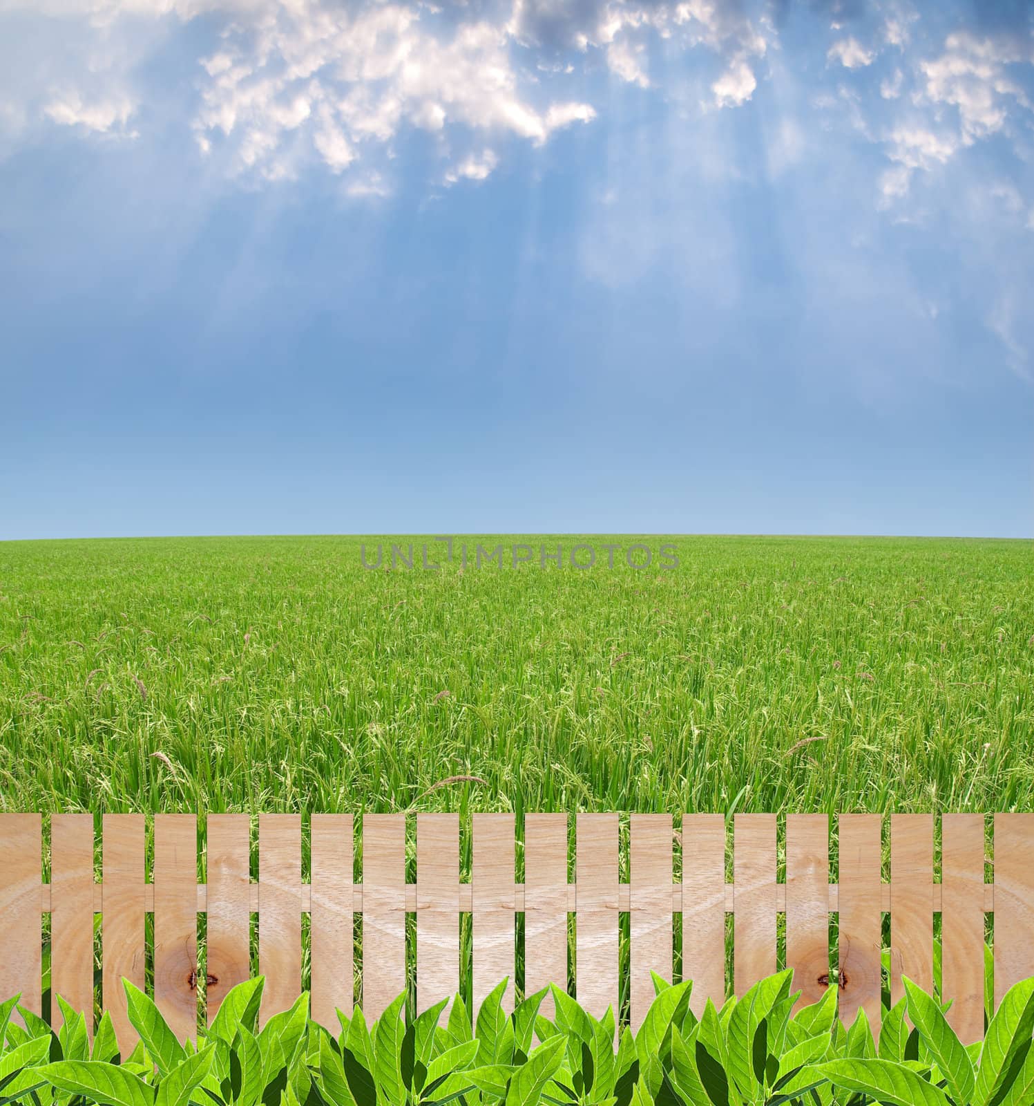 Agriculture garden by Exsodus